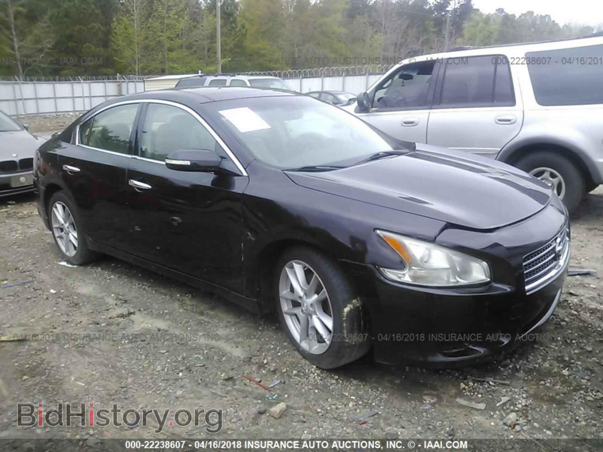 Фотография 1N4AA5AP9BC804508 - Nissan Maxima 2011