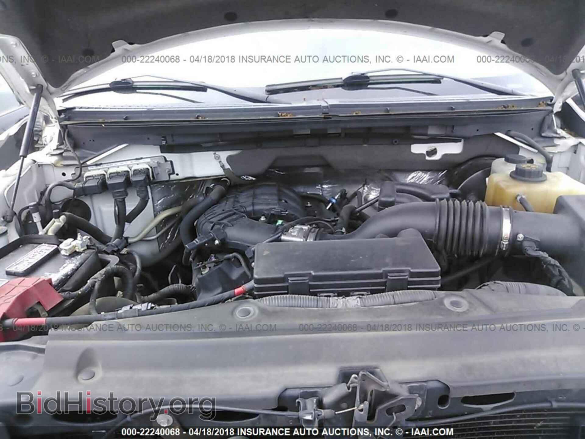2013 Ford F150 - VIN: 1FTMF1CM5DKD48584 - Фото 10