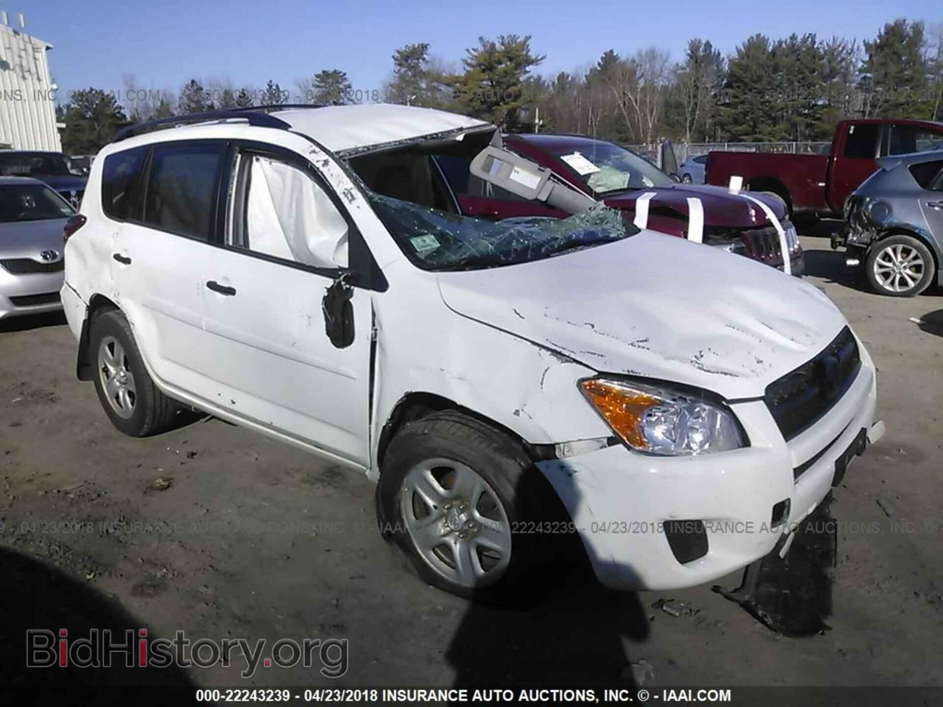 Фотография 2T3BF4DV1CW203340 - Toyota Rav4 2012