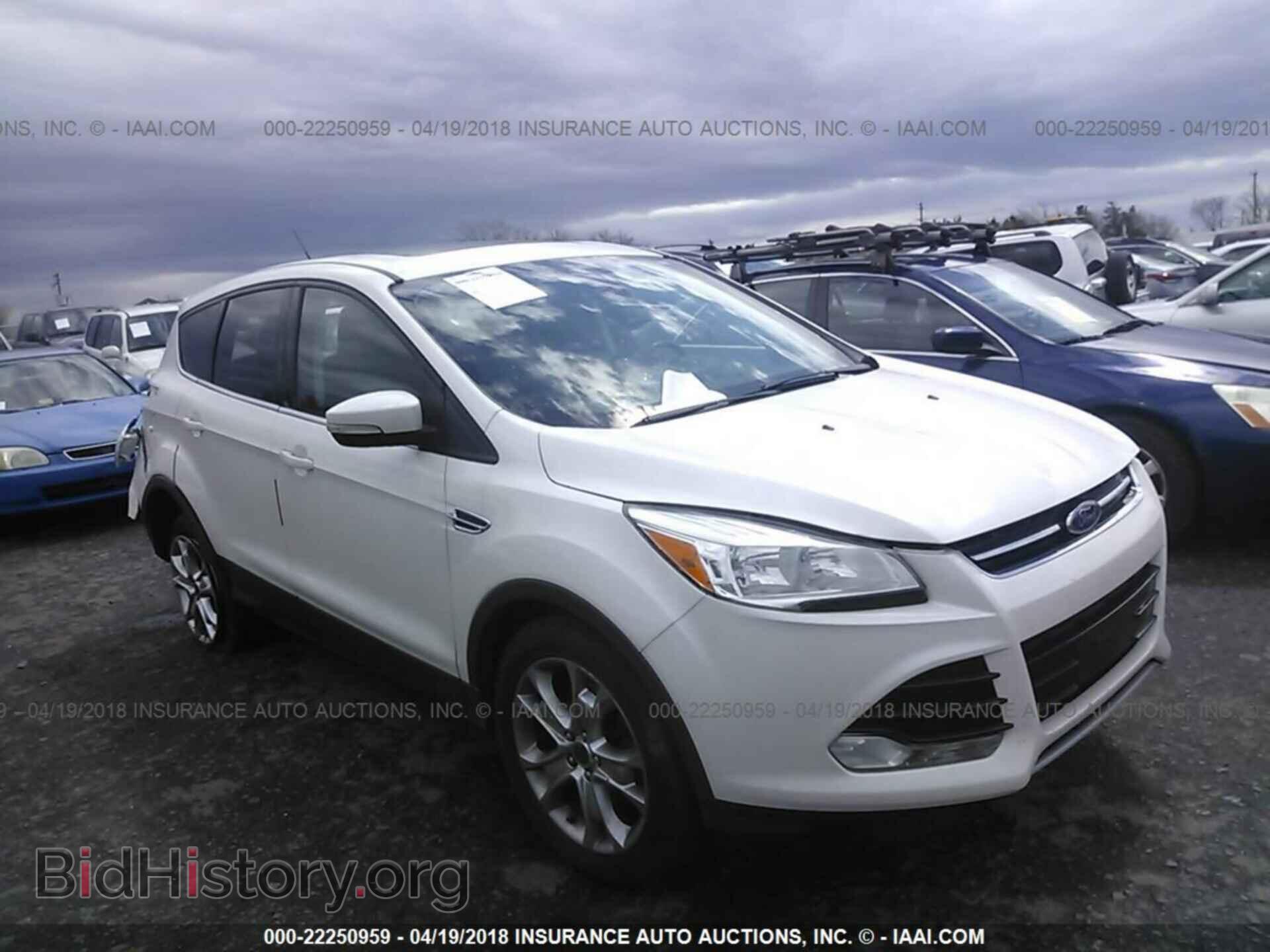 Фотография 1FMCU0H90DUC73356 - Ford Escape 2013