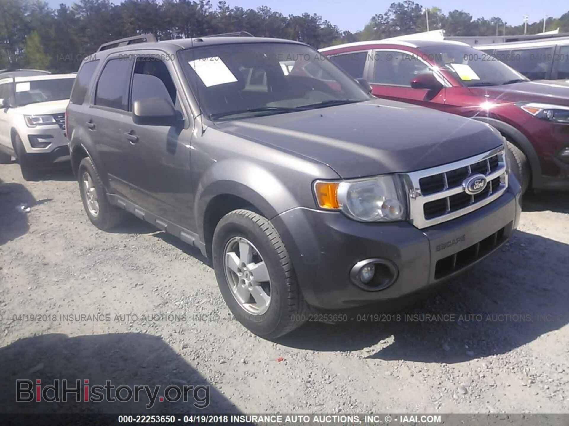 Photo 1FMCU0DG5BKB73668 - Ford Escape 2011