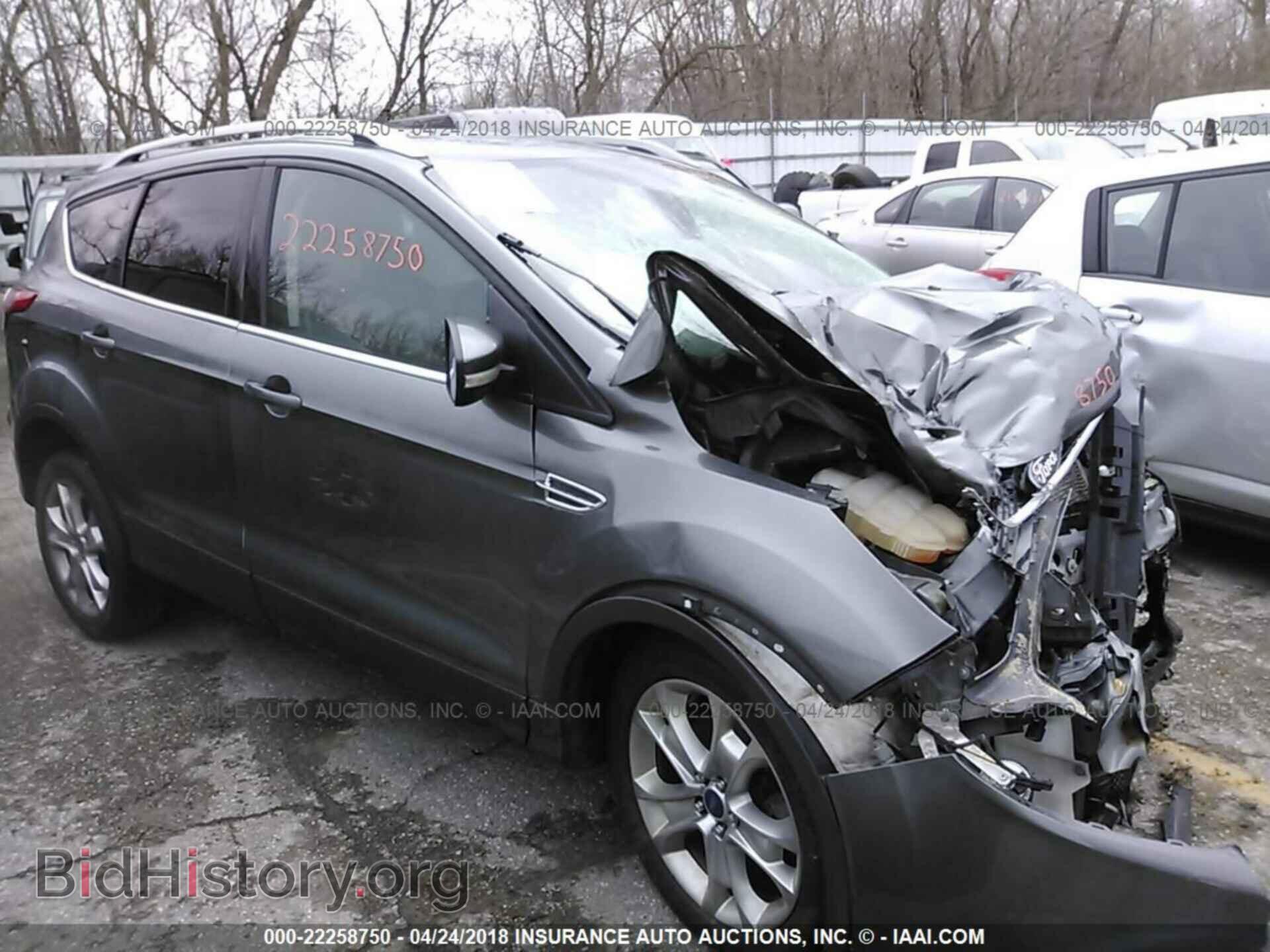 Photo 1FMCU9J92EUD52558 - Ford Escape 2014