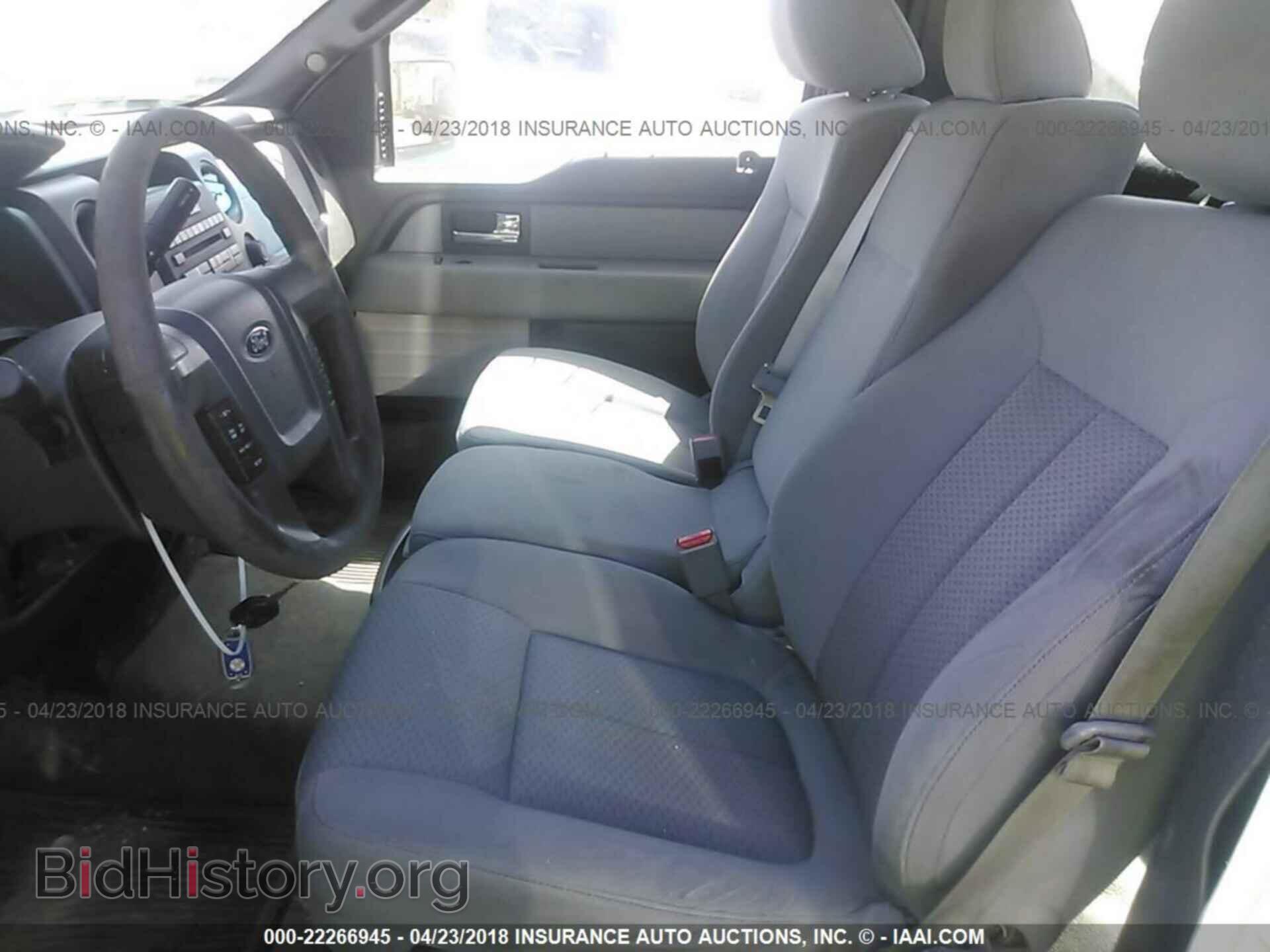 2013 Ford F150 - VIN: 1FTMF1CM7DKG33836 - Фото 8