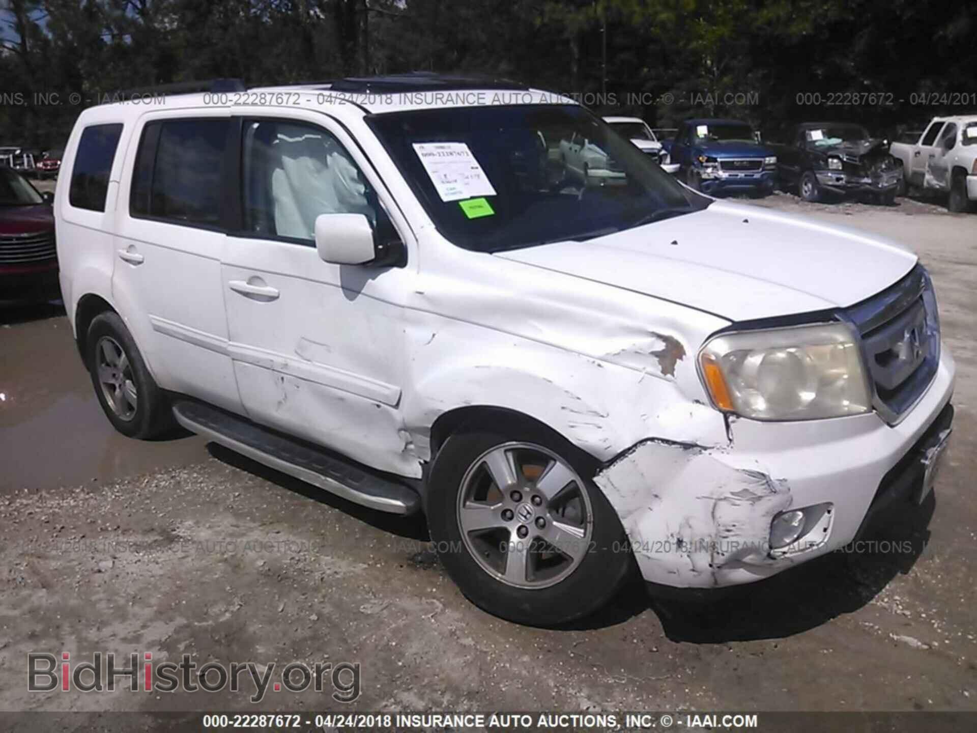 Фотография 5FNYF3H68BB027298 - Honda Pilot 2011