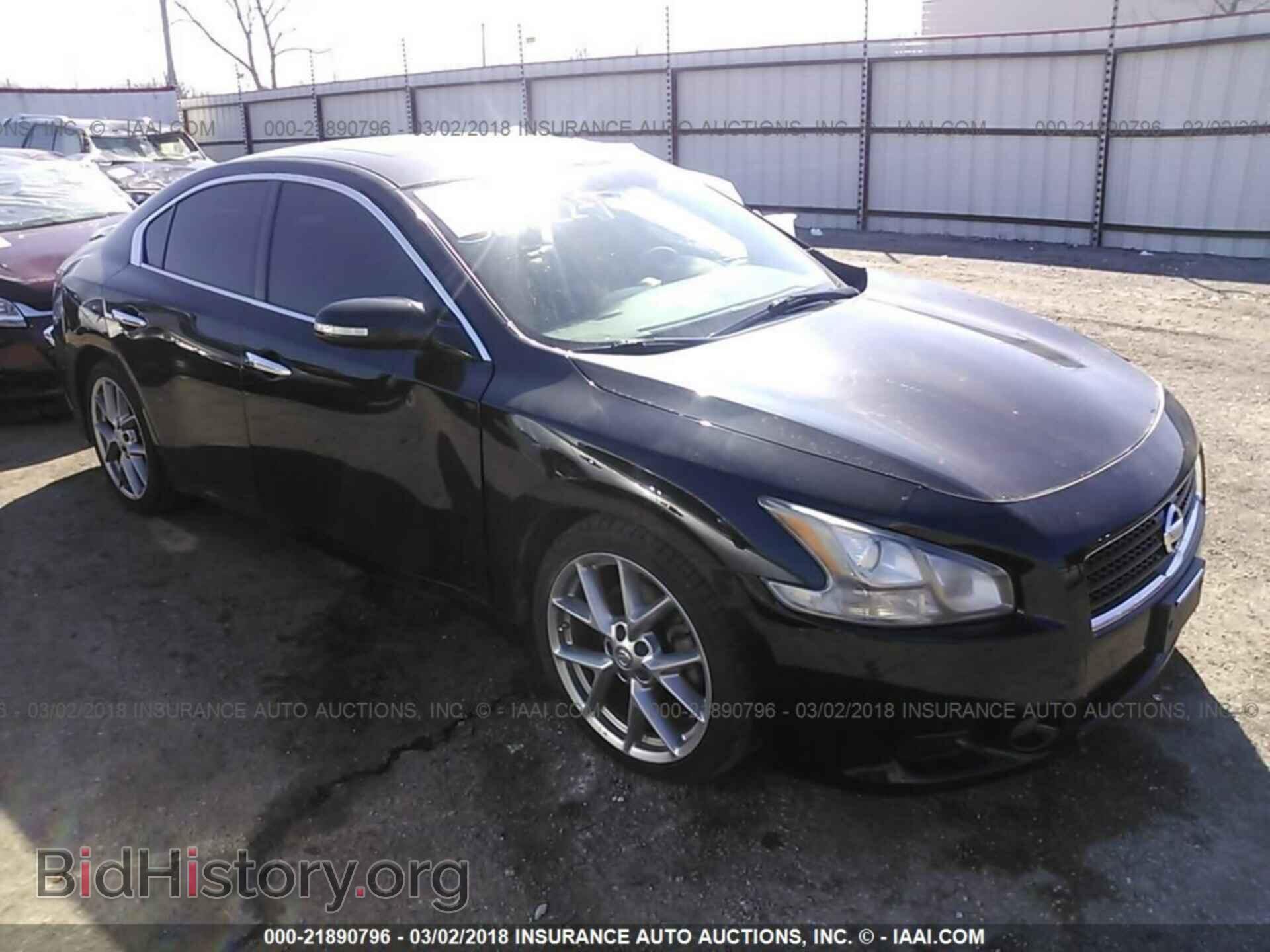 Photo 1N4AA5AP7BC809092 - NISSAN MAXIMA 2011