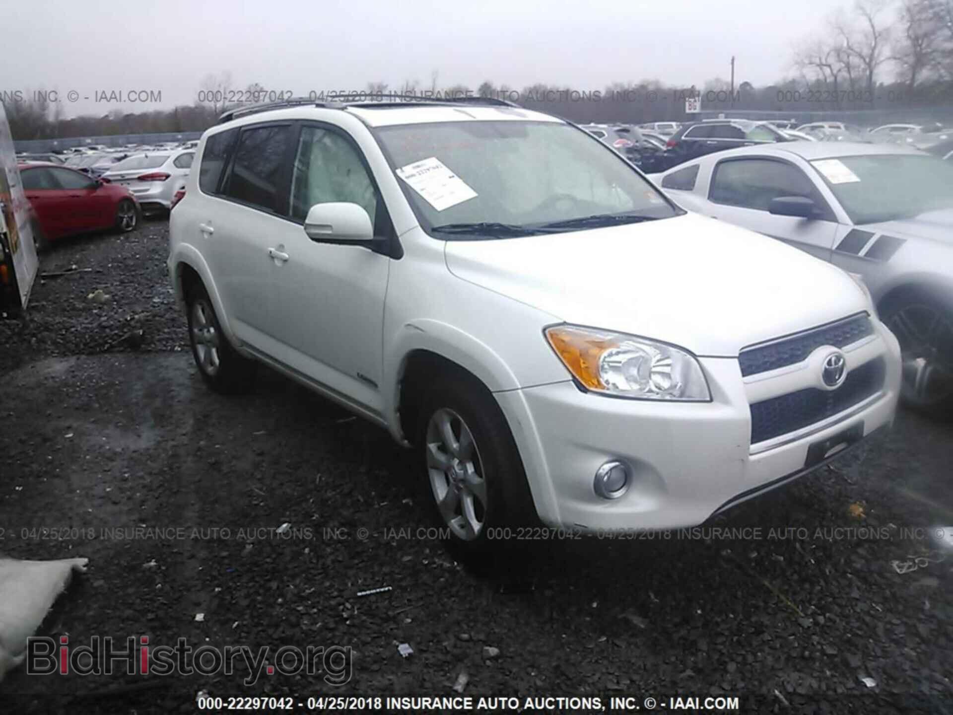 Фотография 2T3DF4DV8BW122357 - Toyota Rav4 2011