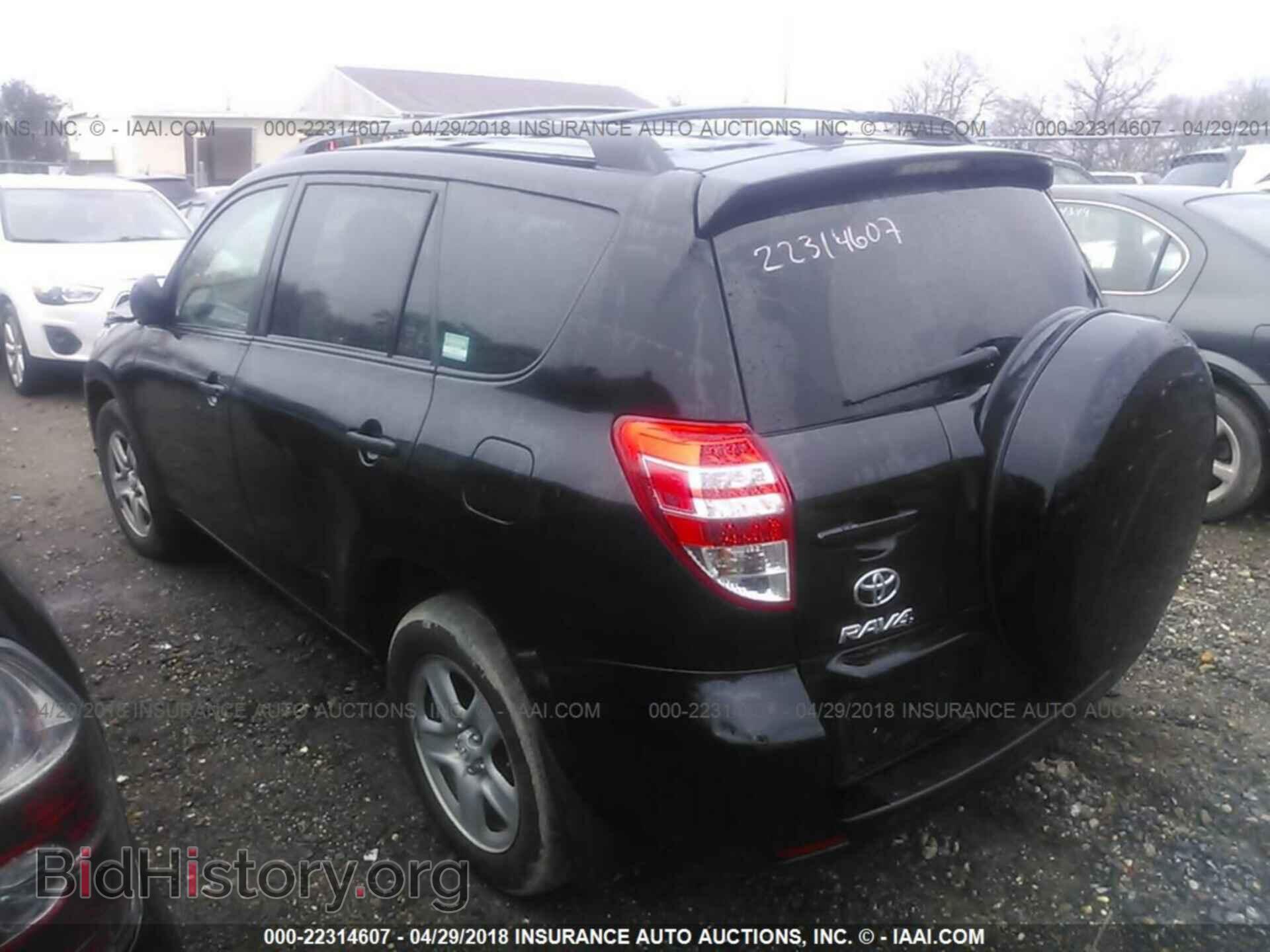2012 Toyota Rav4 - VIN: 2T3BF4DV2CW217327 - Фото 3