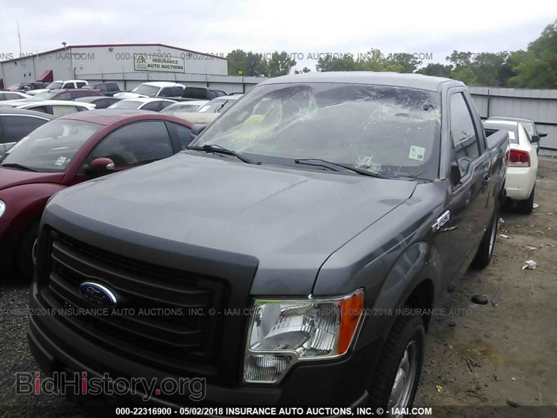 2013 Ford F150 - VIN: 1FTMF1CM5DFC03005 - Фото 6