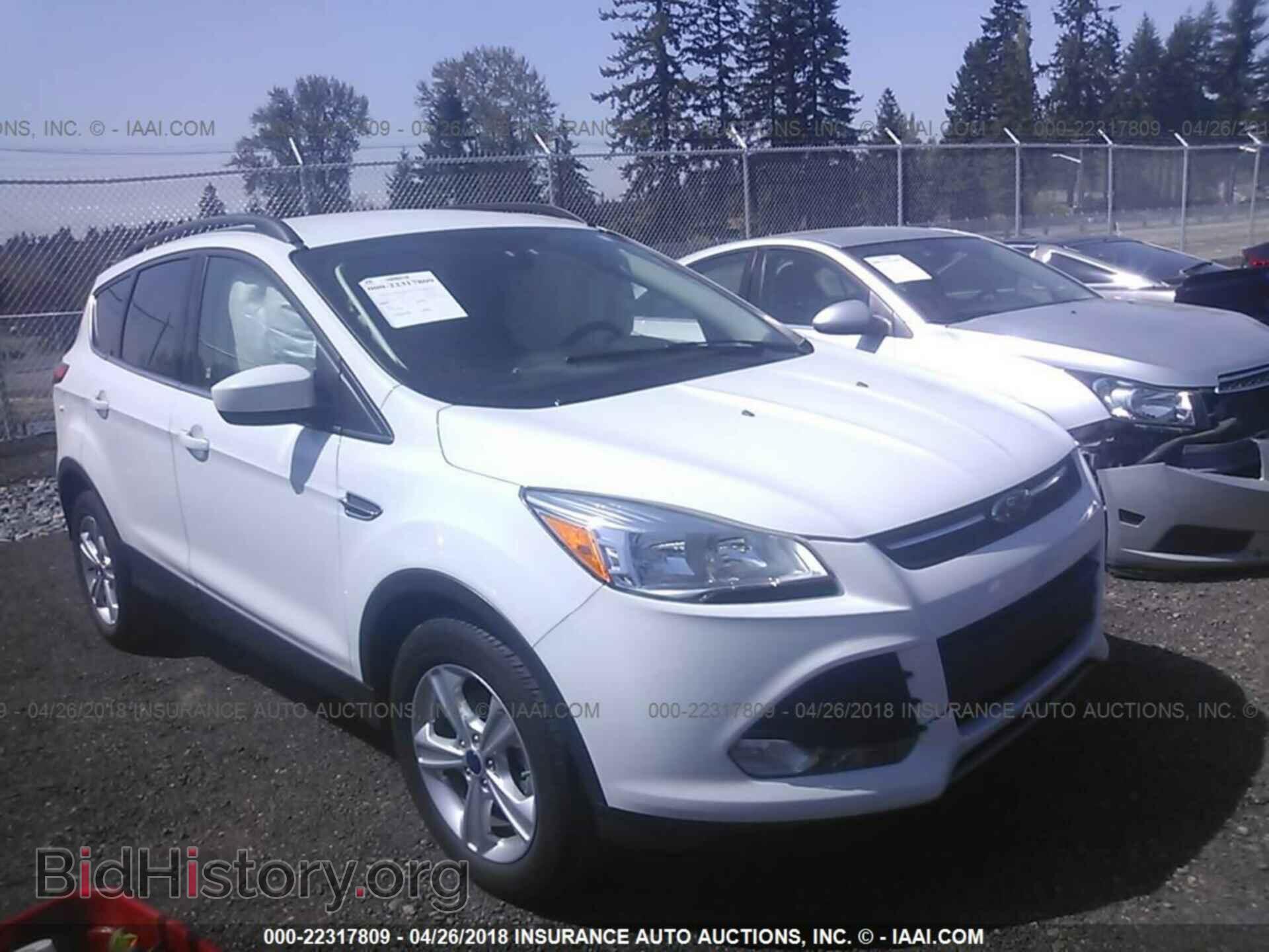 Фотография 1FMCU0GX7EUE53967 - Ford Escape 2014