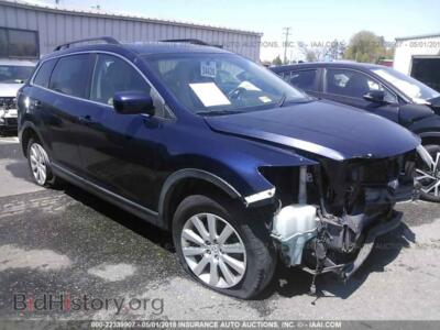 2009 Mazda CX-9, blue — VIN JM3TB38V490176210, IAAI