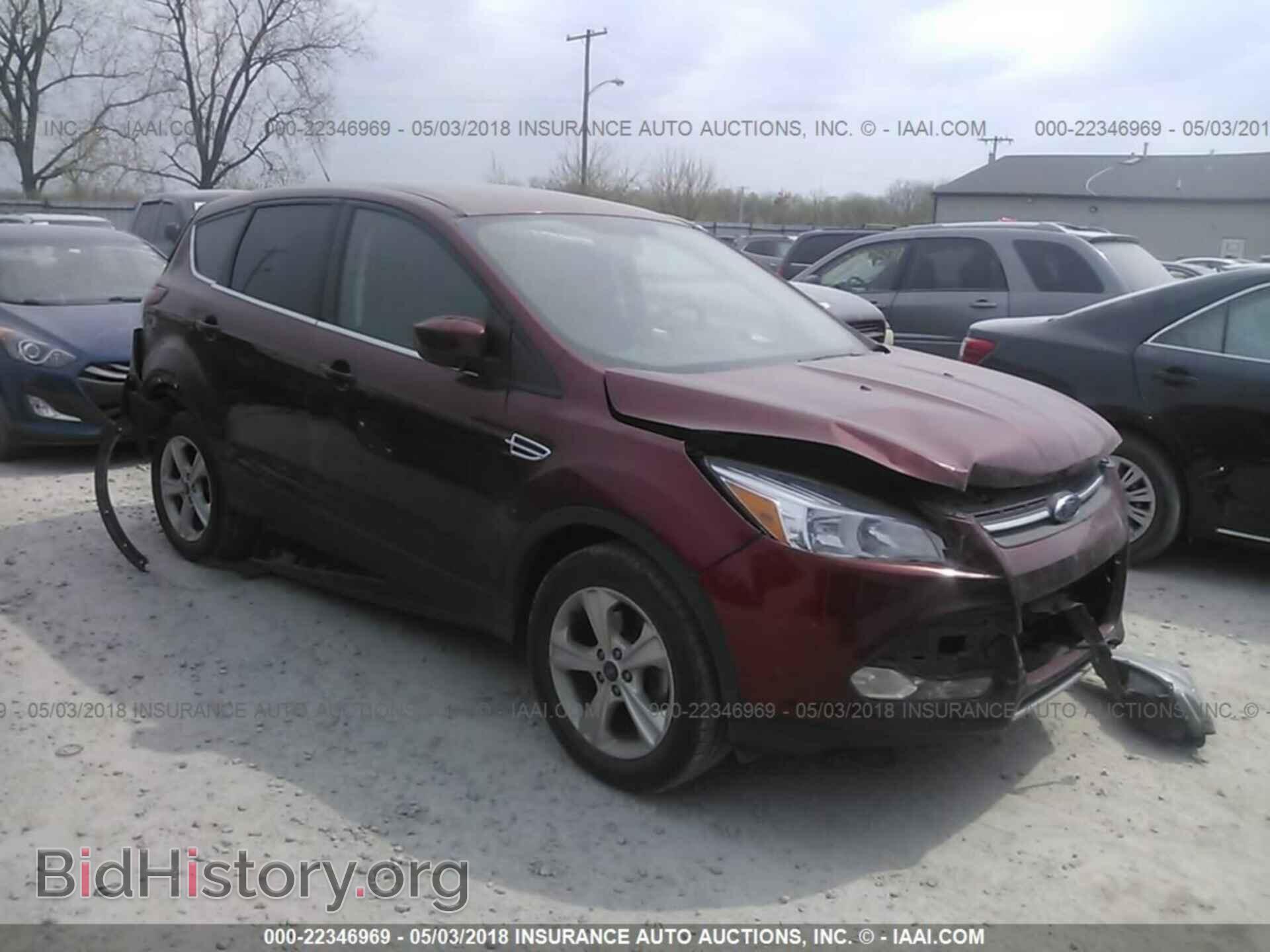 Photo 1FMCU0GX0EUD93076 - Ford Escape 2014
