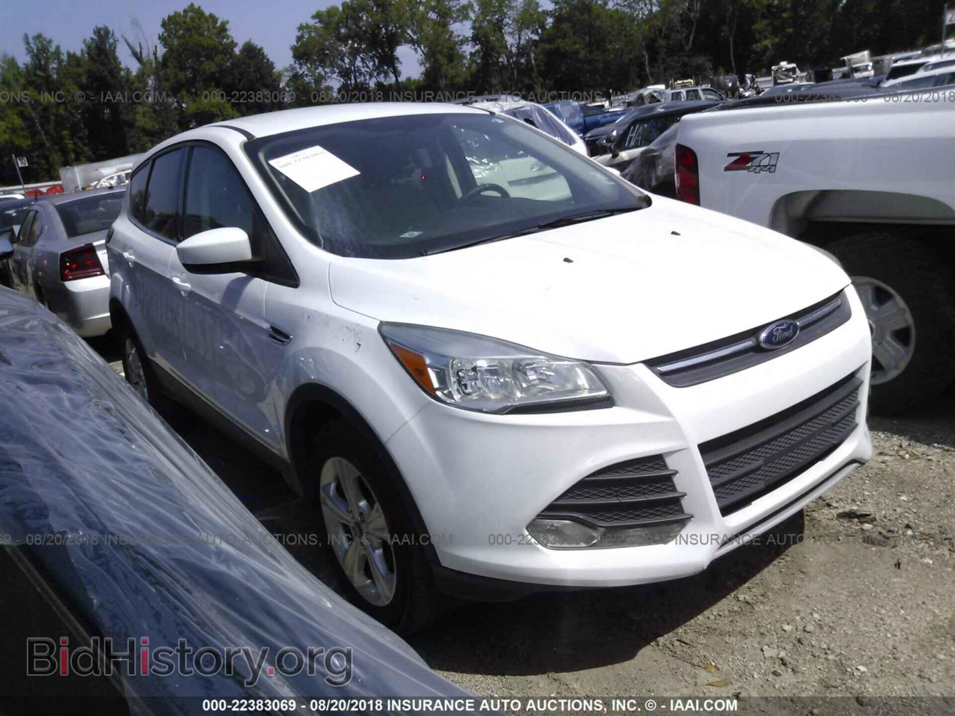 Photo 1FMCU0GX2EUC02726 - Ford Escape 2014