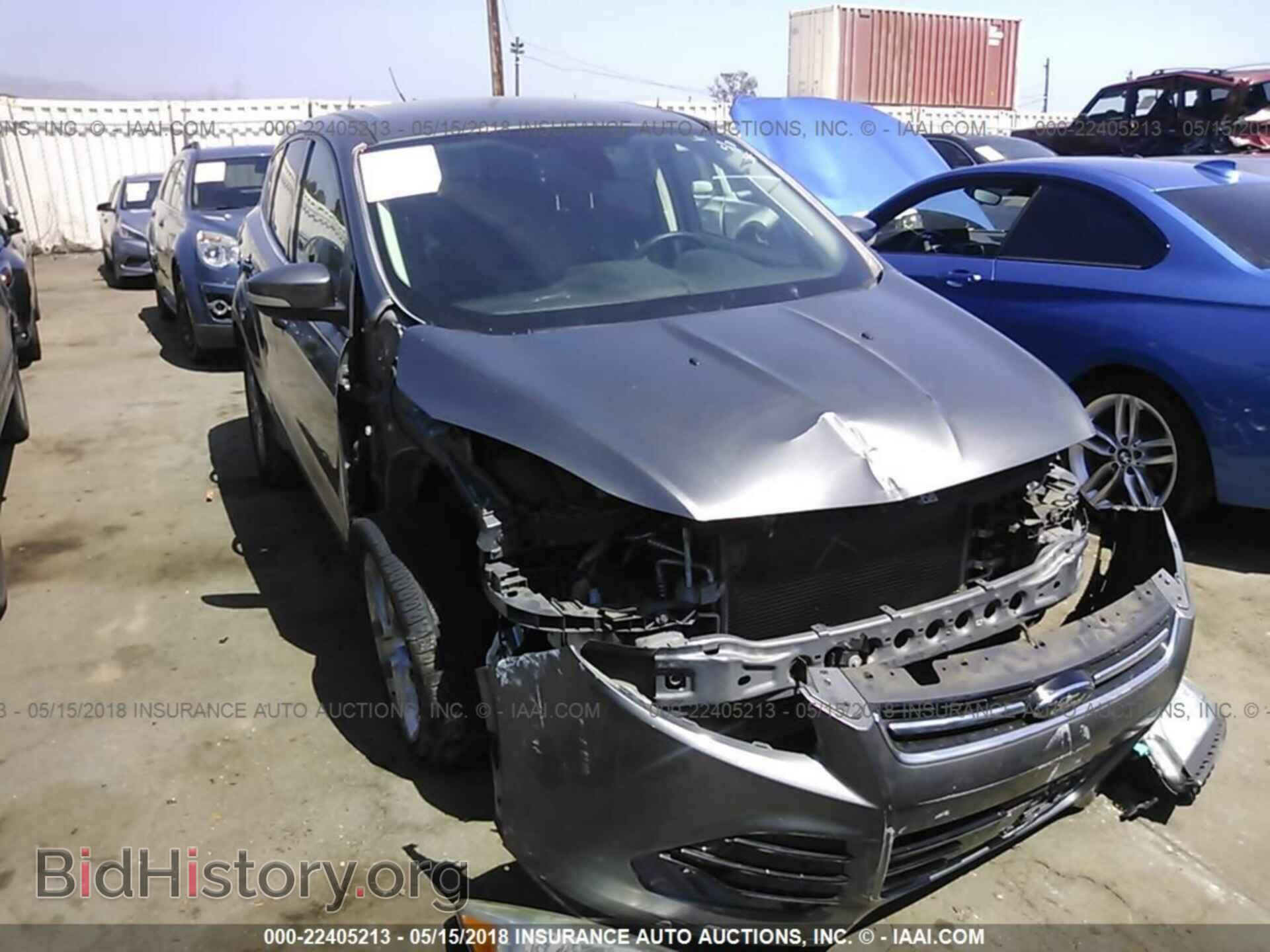 Фотография 1FMCU0H99DUA79117 - Ford Escape 2013
