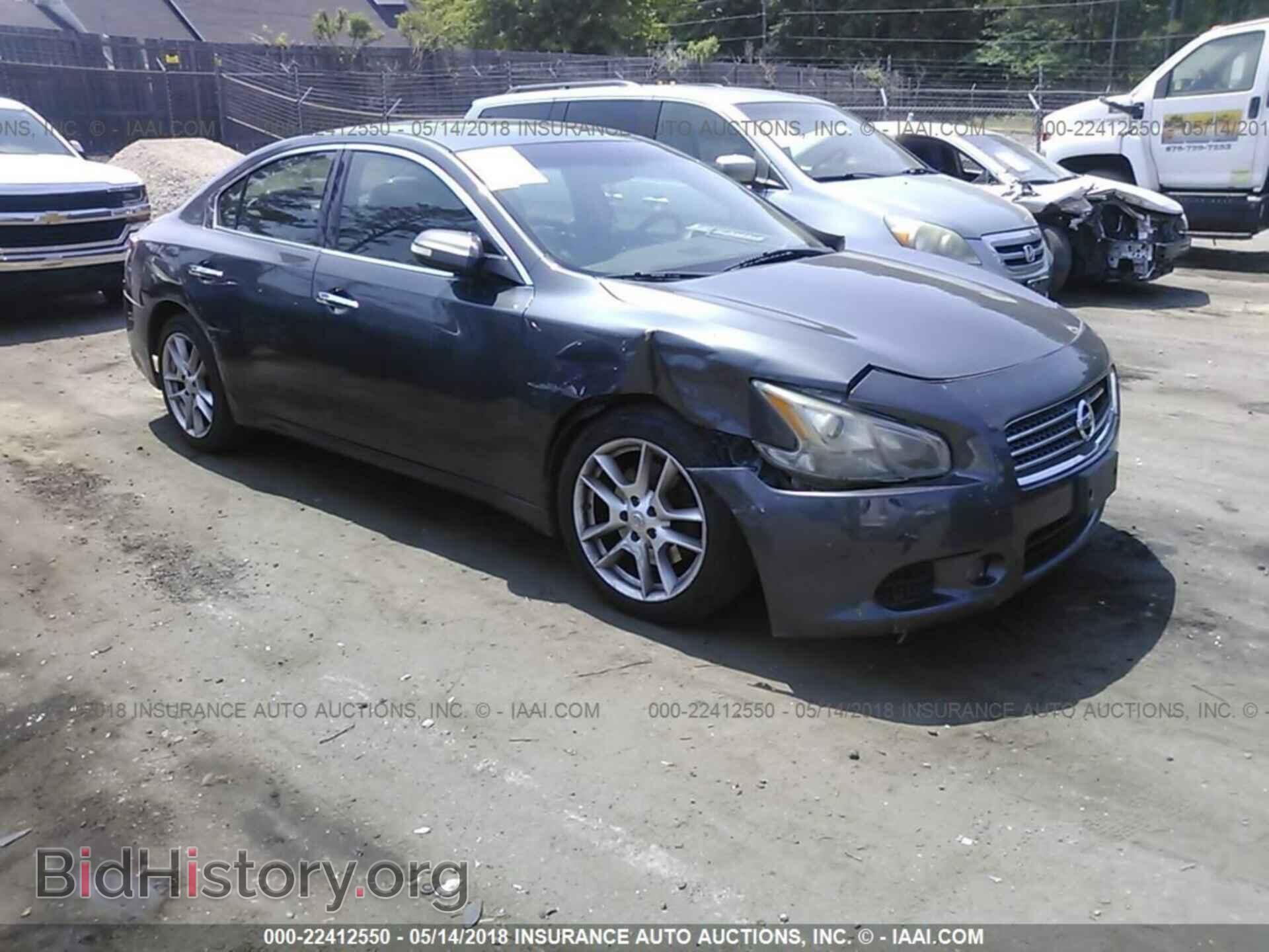 Фотография 1N4AA5AP3BC838167 - Nissan Maxima 2011