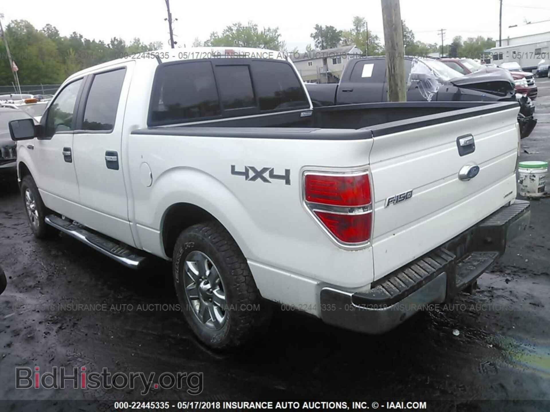 2013 FORD F150 - VIN: 1FTFW1EF8DFD32282 - Photo 3