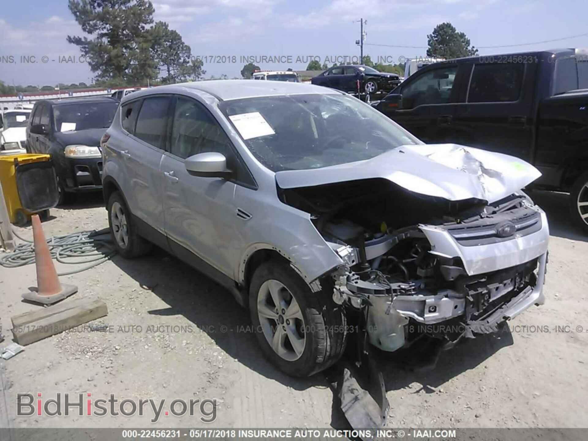 Photo 1FMCU0GX0DUD64286 - Ford Escape 2013