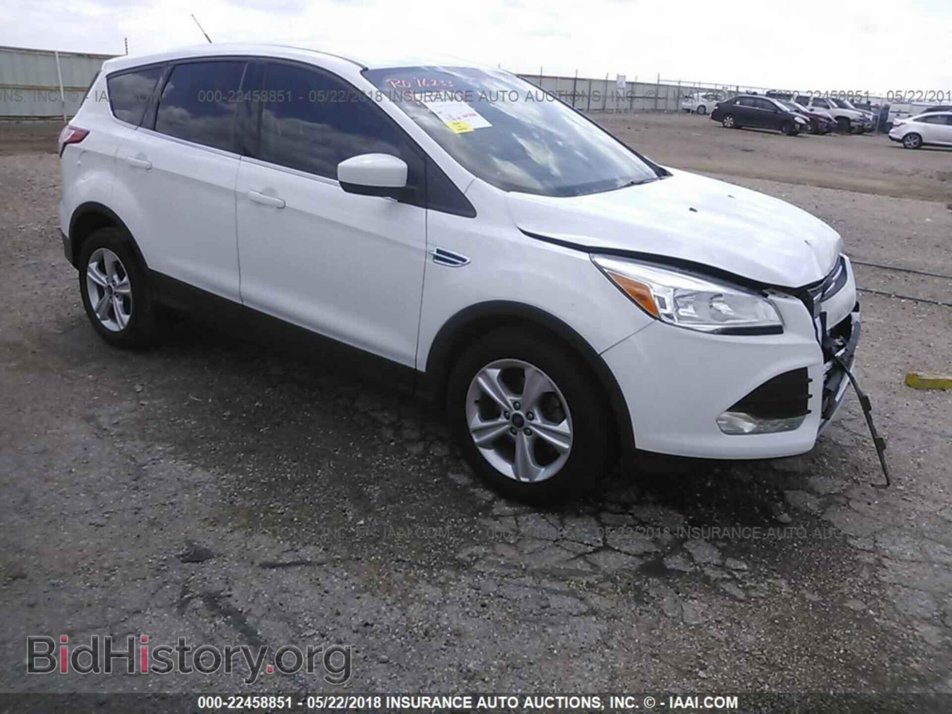 Photo 1FMCU0GX8DUD01503 - Ford Escape 2013