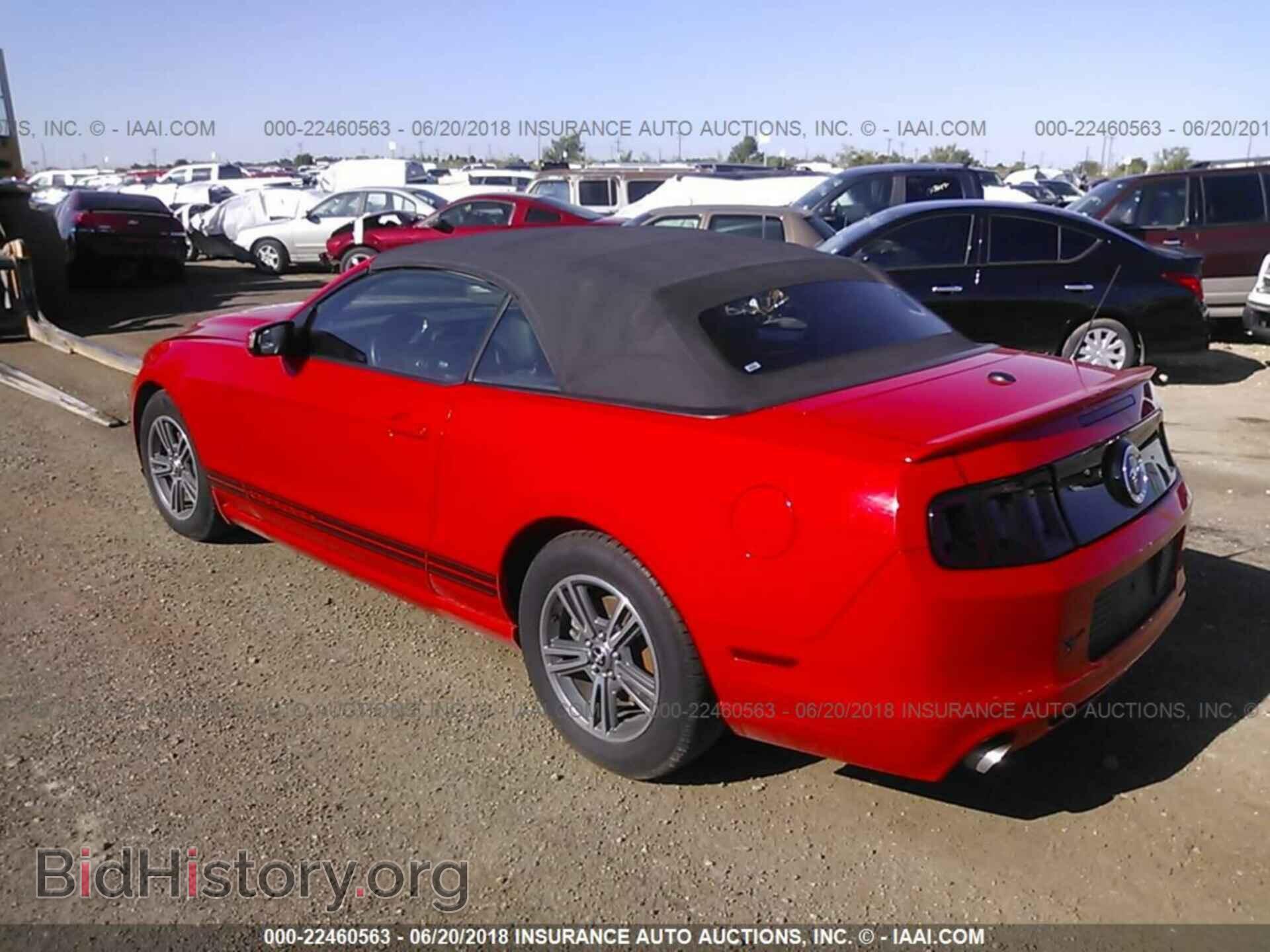 2013 Ford Mustang - VIN: 1ZVBP8EMXD5217320 - Фото 3