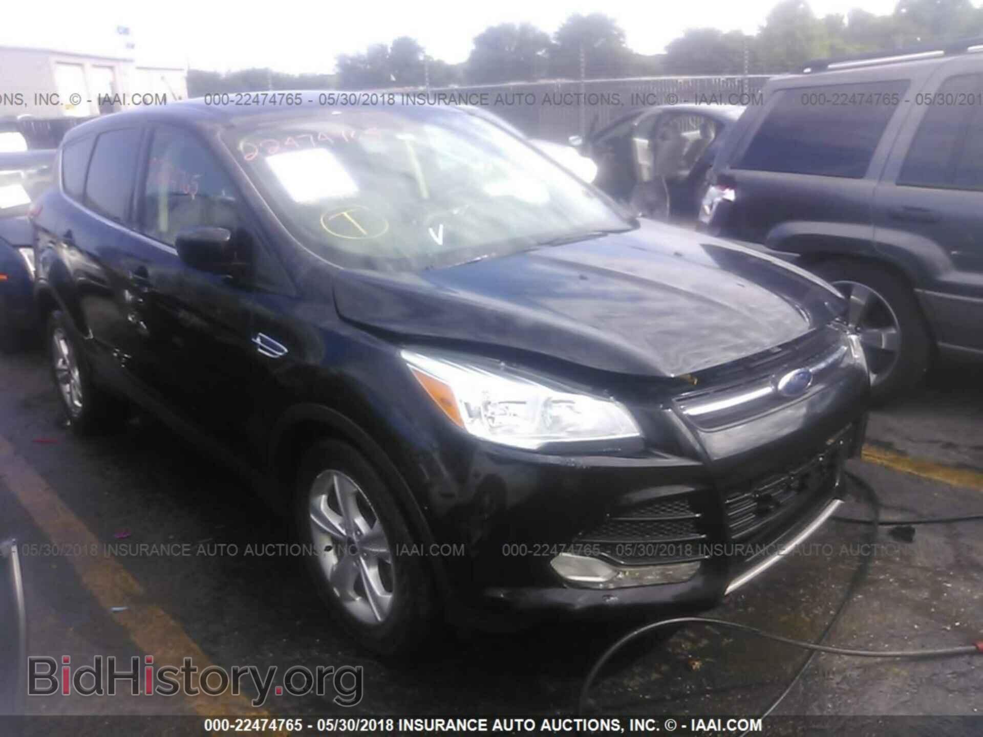 Photo 1FMCU0GX2EUE55299 - Ford Escape 2014
