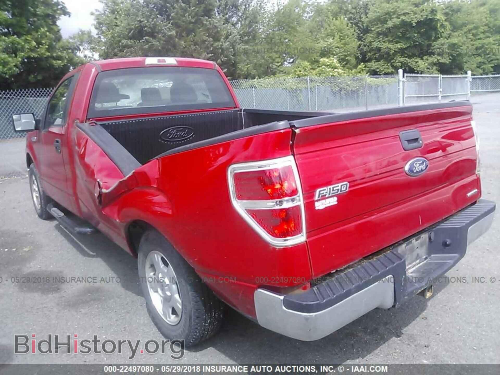 2013 Ford F150 - VIN: 1FTMF1CM8DKD51768 - Фото 3