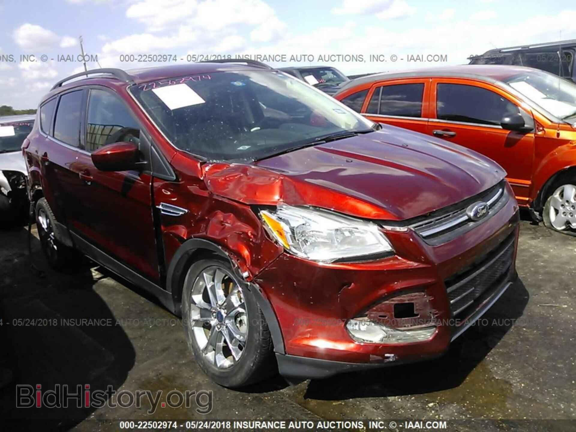 Фотография 1FMCU0G98EUC01274 - Ford Escape 2014