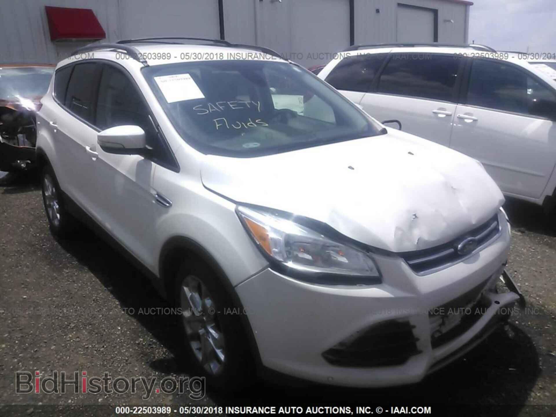Photo 1FMCU0HXXDUB90225 - Ford Escape 2013
