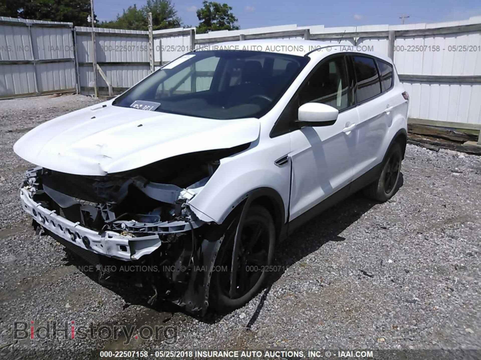 2014 Ford Escape - VIN: 1FMCU0GX1EUC43770 - Фото 2
