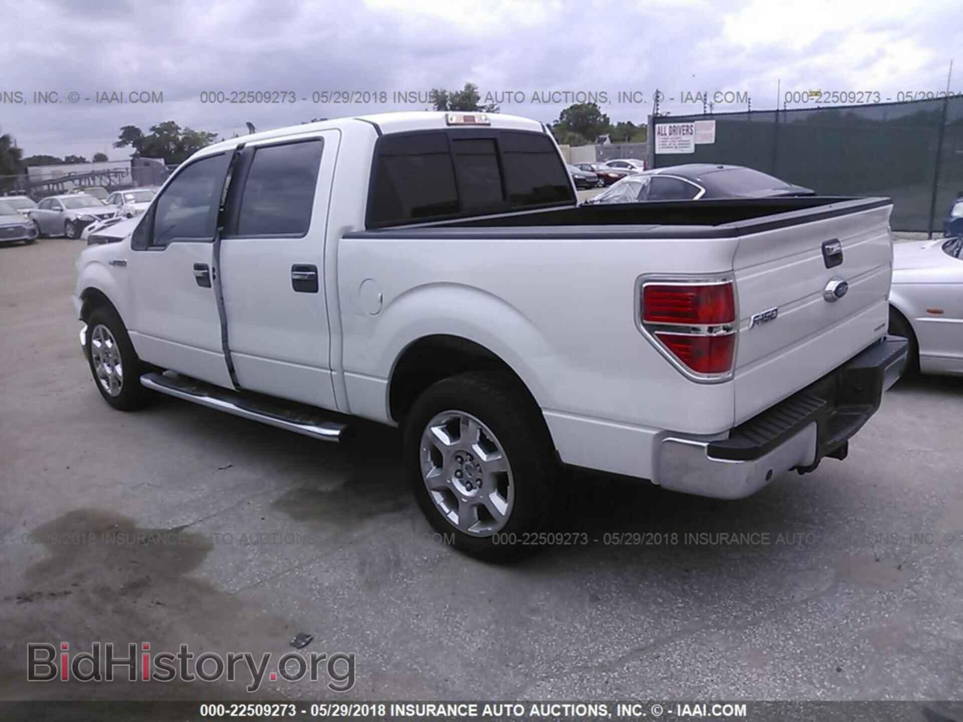 2013 Ford F150 - VIN: 1FTFW1CF1DFA11395 - Фото 3