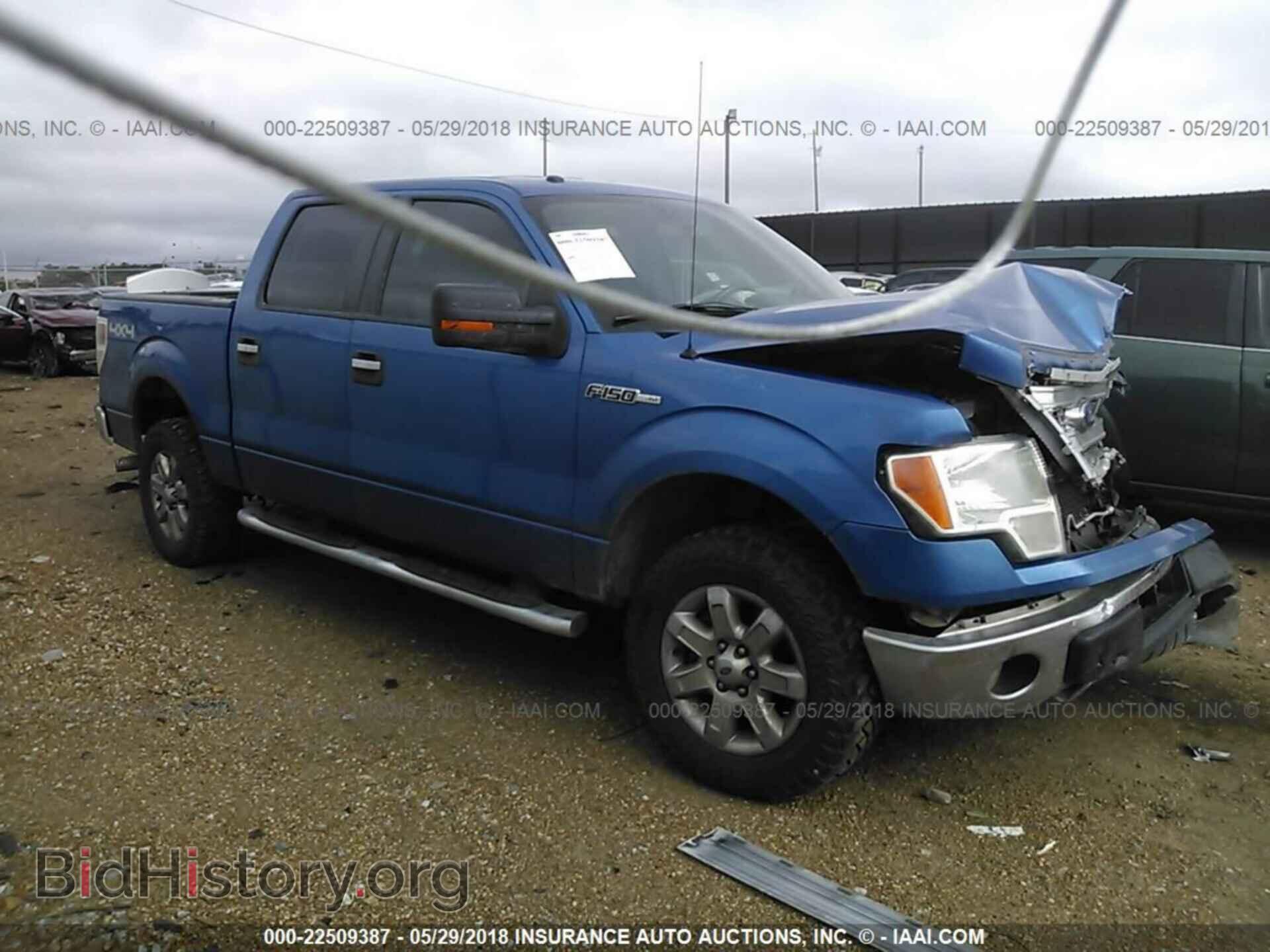 Фотография 1FTFW1EF9EKE04776 - Ford F150 2014