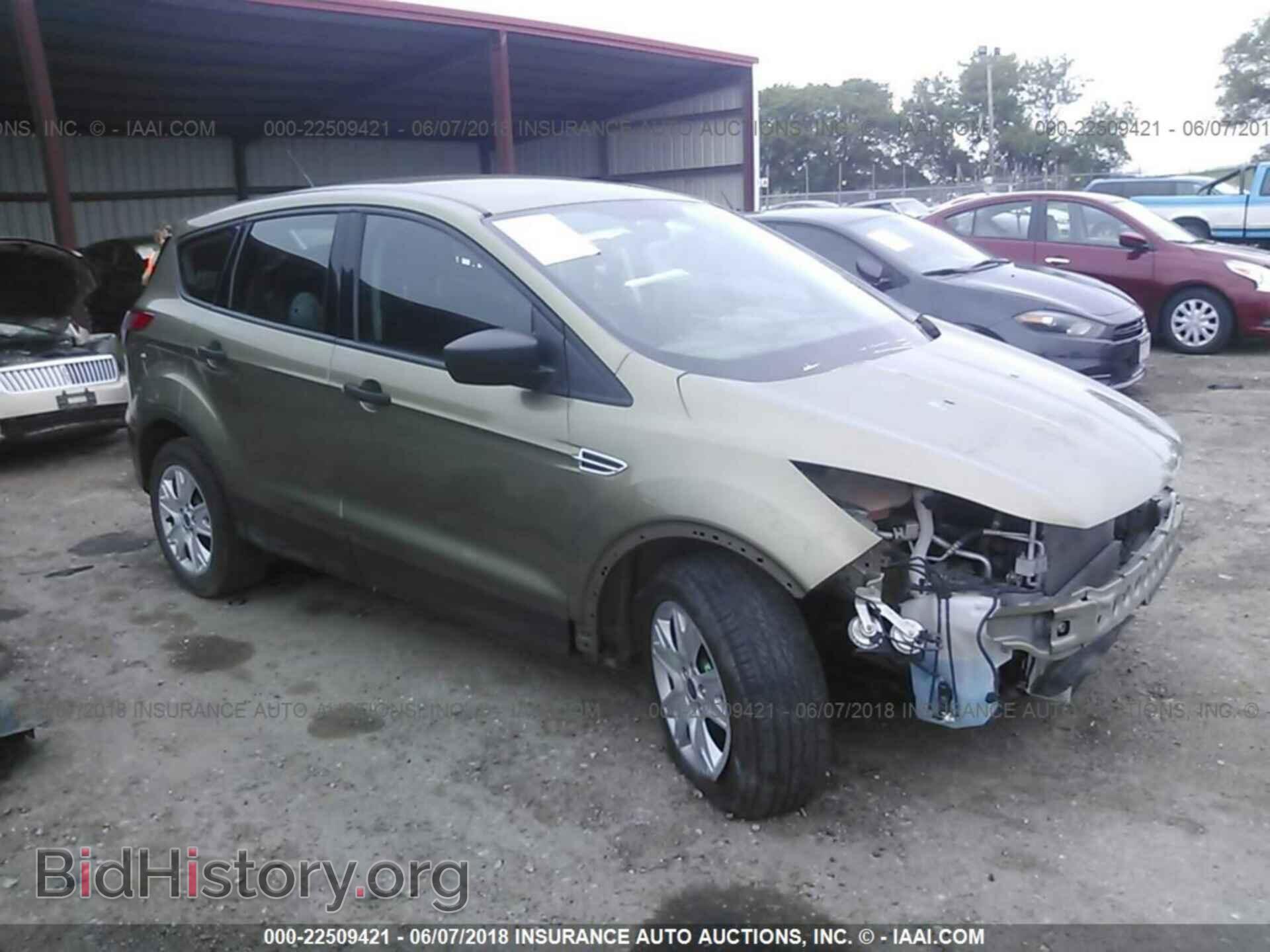 Photo 1FMCU0F70DUC14244 - Ford Escape 2013
