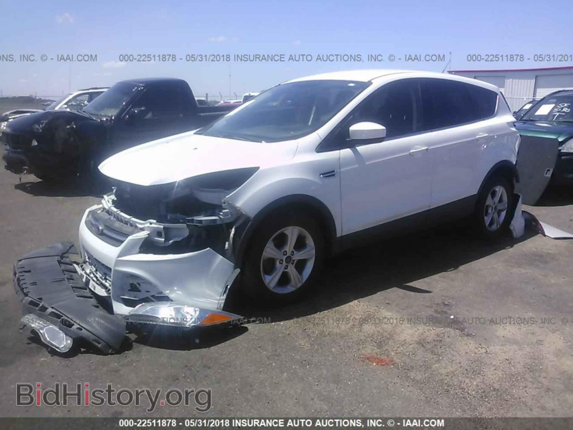 2014 Ford Escape - VIN: 1FMCU0GX4EUD43202 - Фото 2