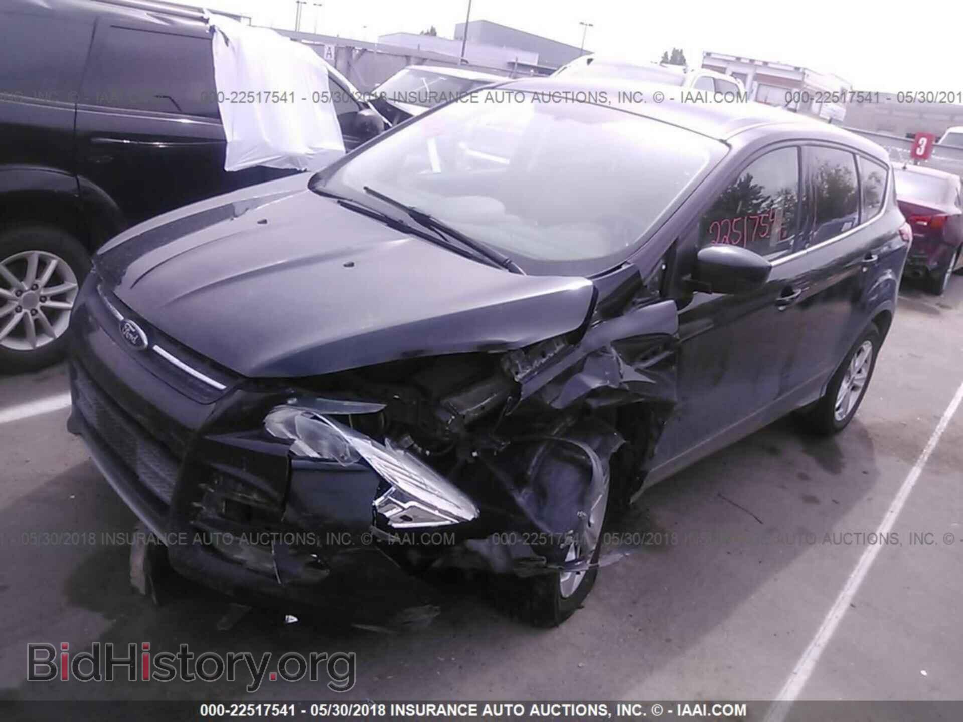 2013 Ford Escape - VIN: 1FMCU9G91DUA95382 - Фото 2