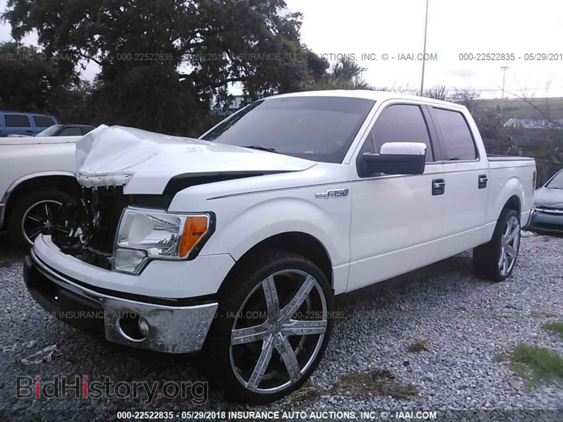 2013 Ford F150 - VIN: 1FTEW1CM4DFB84225 - Фото 2
