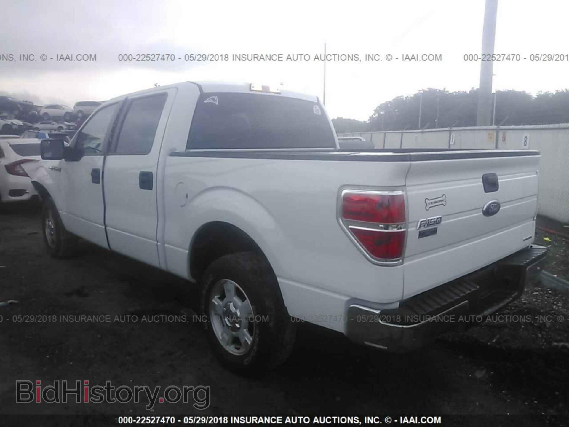 2013 Ford F150 - VIN: 1FTEW1CM8DFB46237 - Фото 3