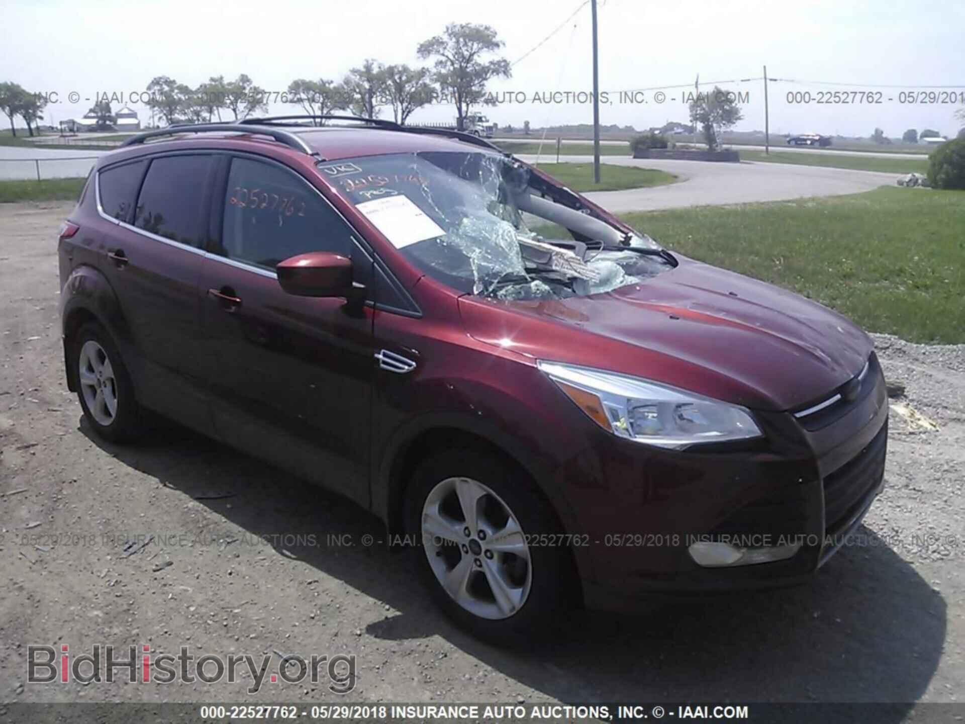 Photo 1FMCU0GX0EUD04249 - Ford Escape 2014