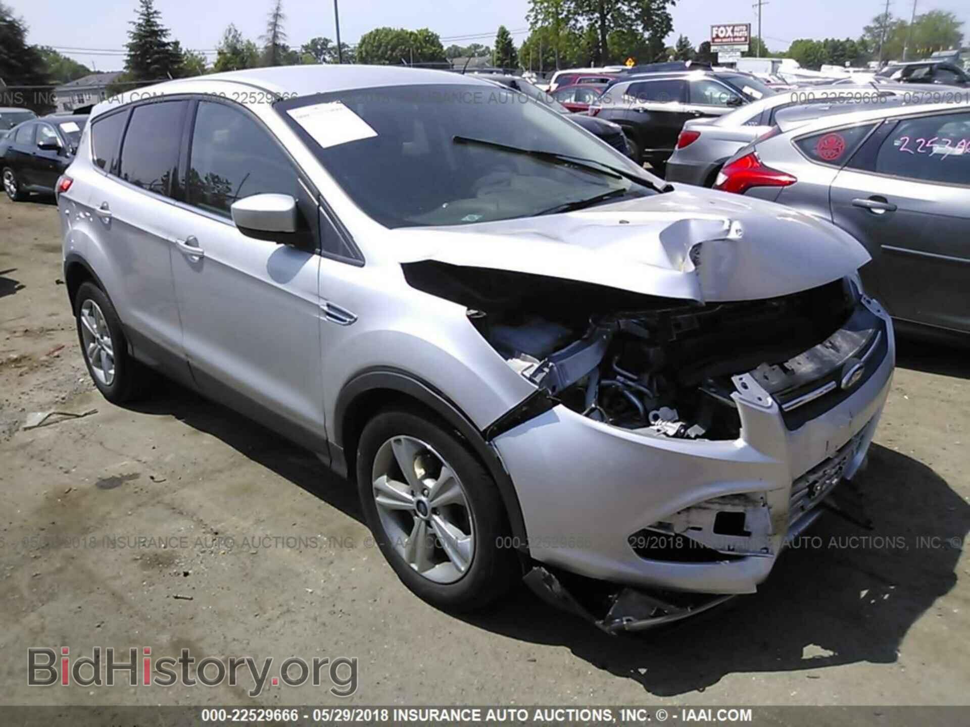 Photo 1FMCU0GX5EUA04383 - Ford Escape 2014