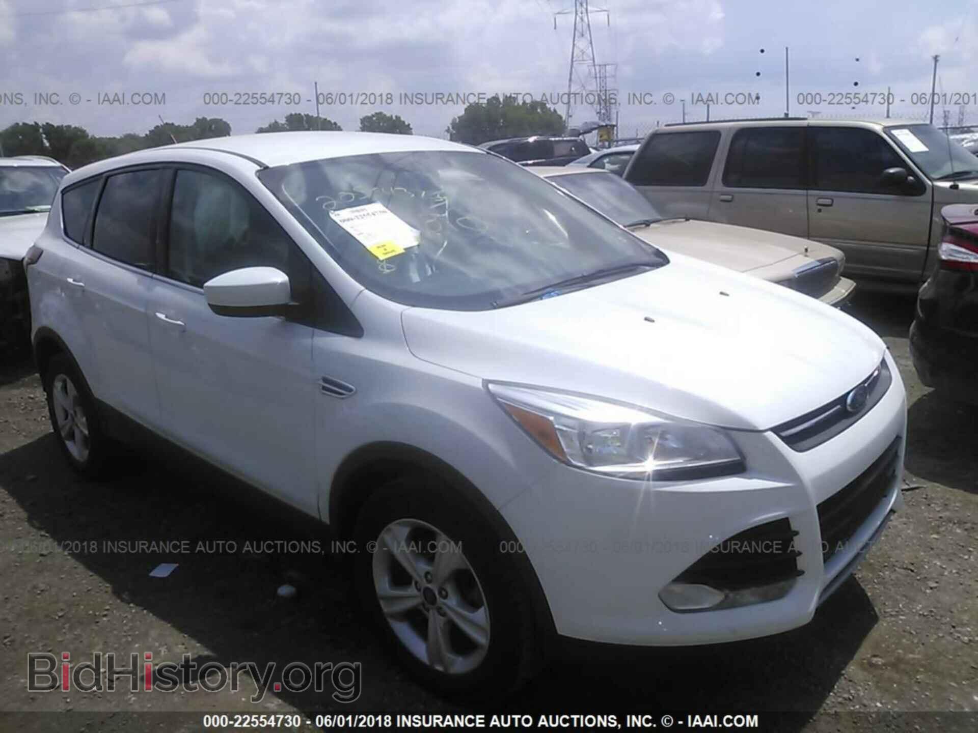 Photo 1FMCU9GX1EUA46005 - Ford Escape 2014