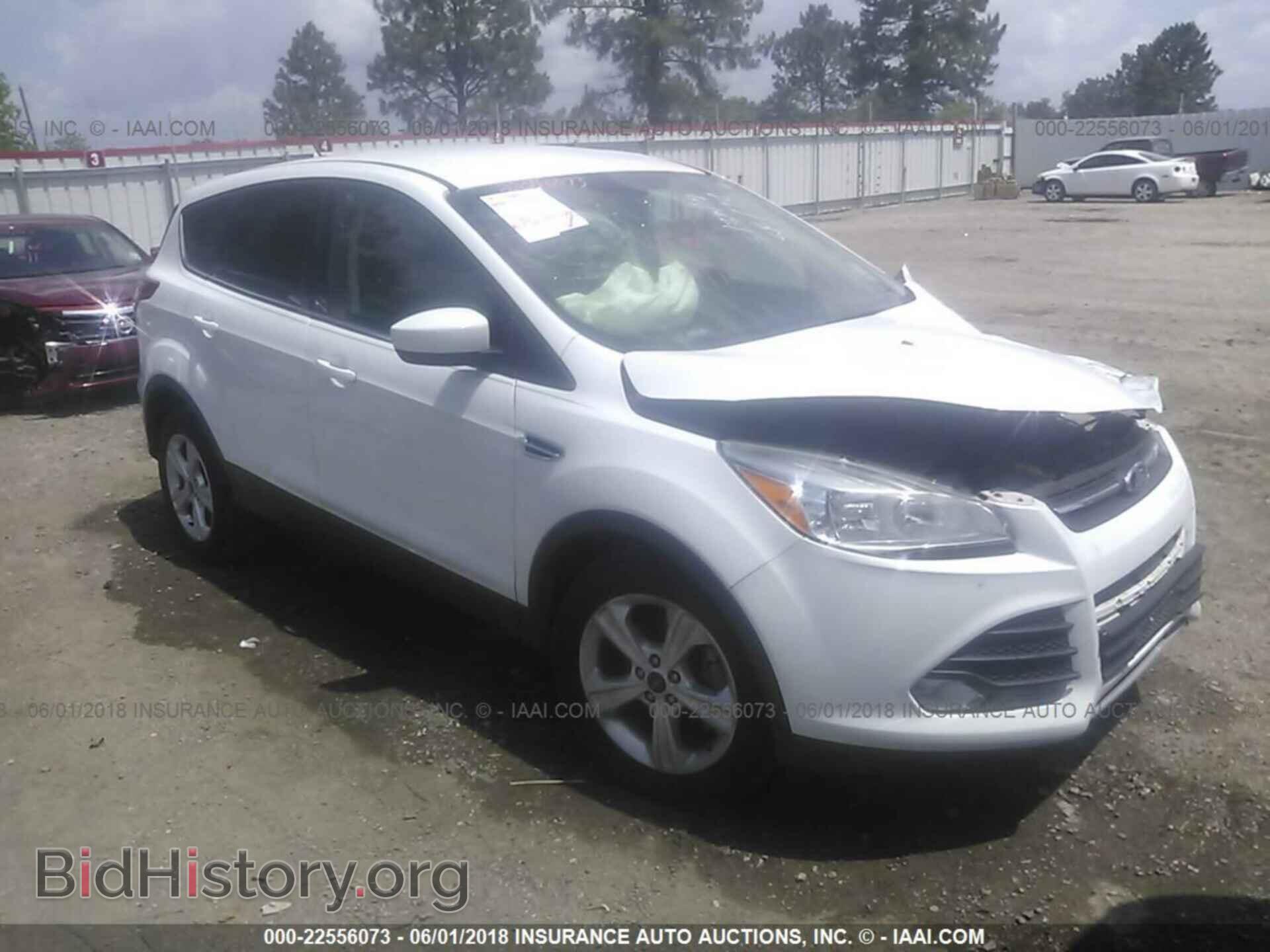 Photo 1FMCU0GXXEUC98010 - Ford Escape 2014