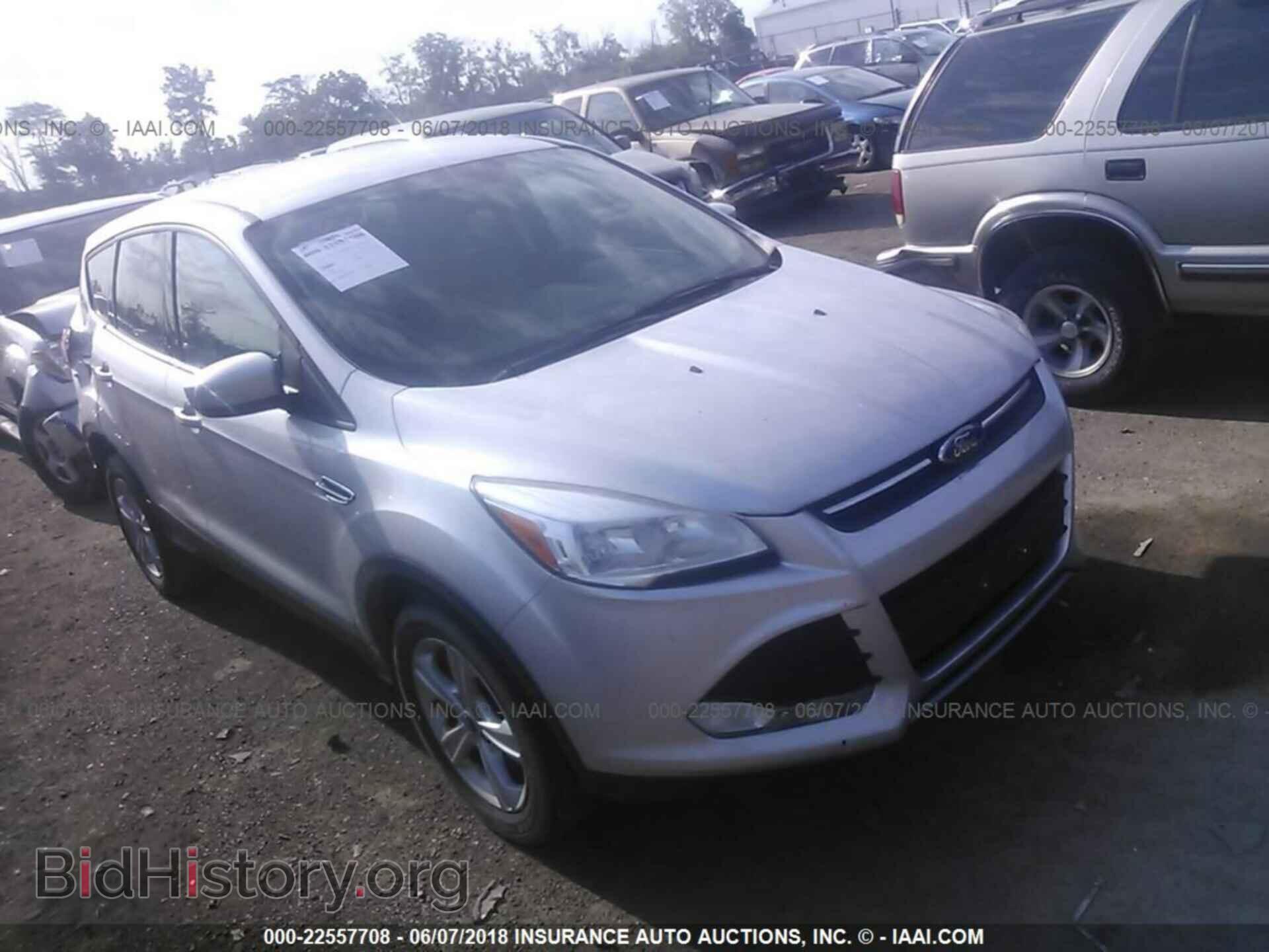 Photo 1FMCU0G99DUD87485 - Ford Escape 2013
