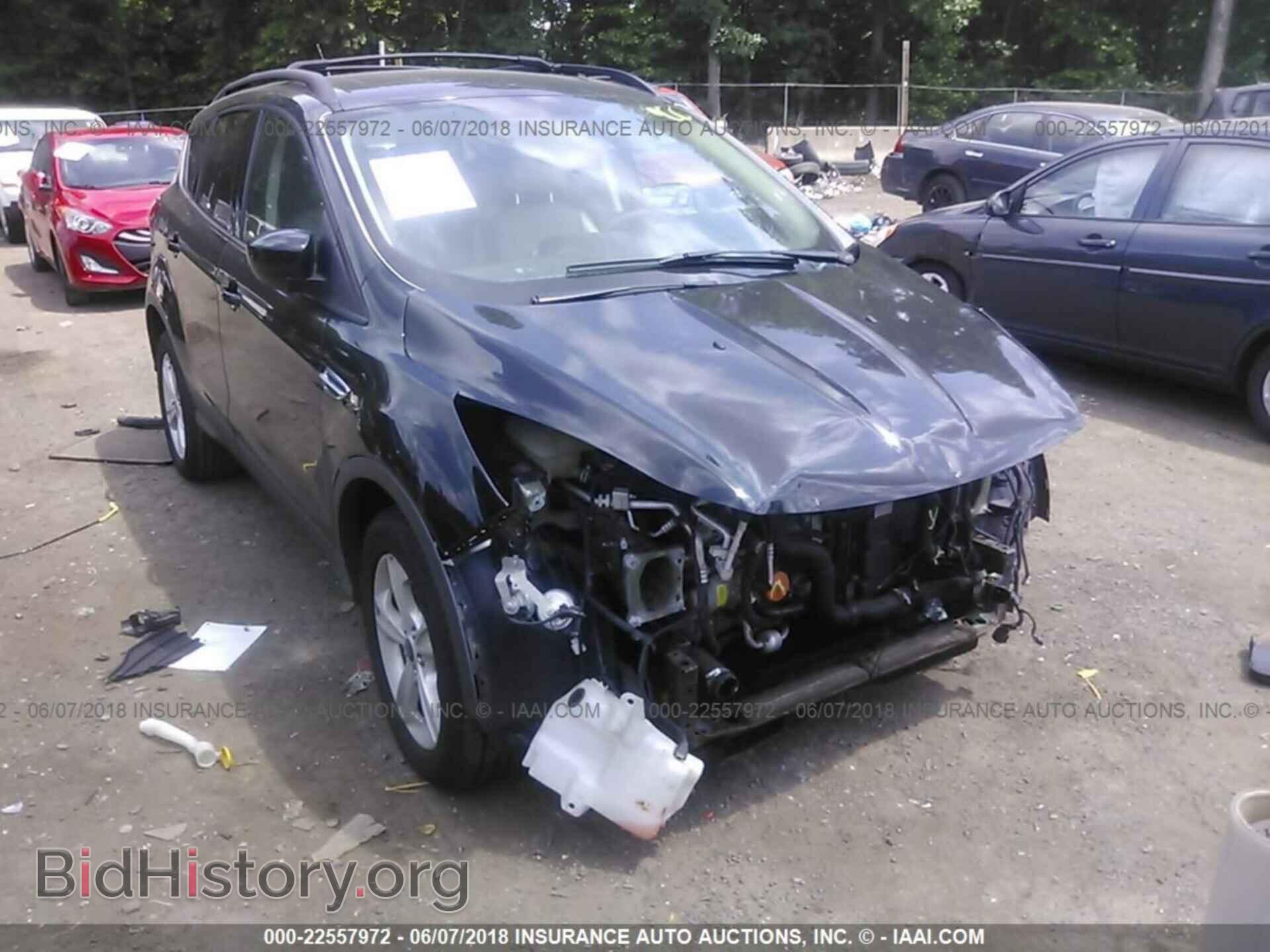 Photo 1FMCU0GX1DUA13001 - Ford Escape 2013