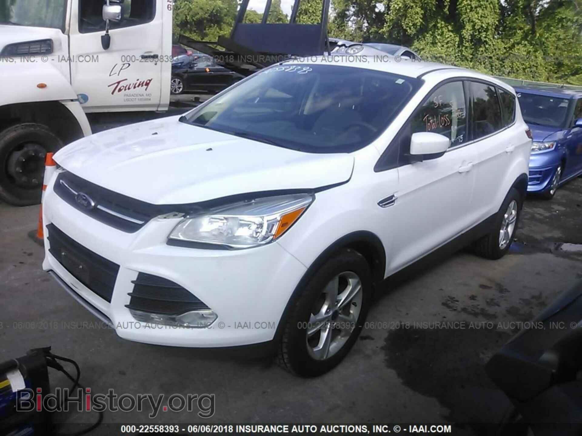2014 Ford Escape - VIN: 1FMCU0GX4EUD22673 - Фото 2