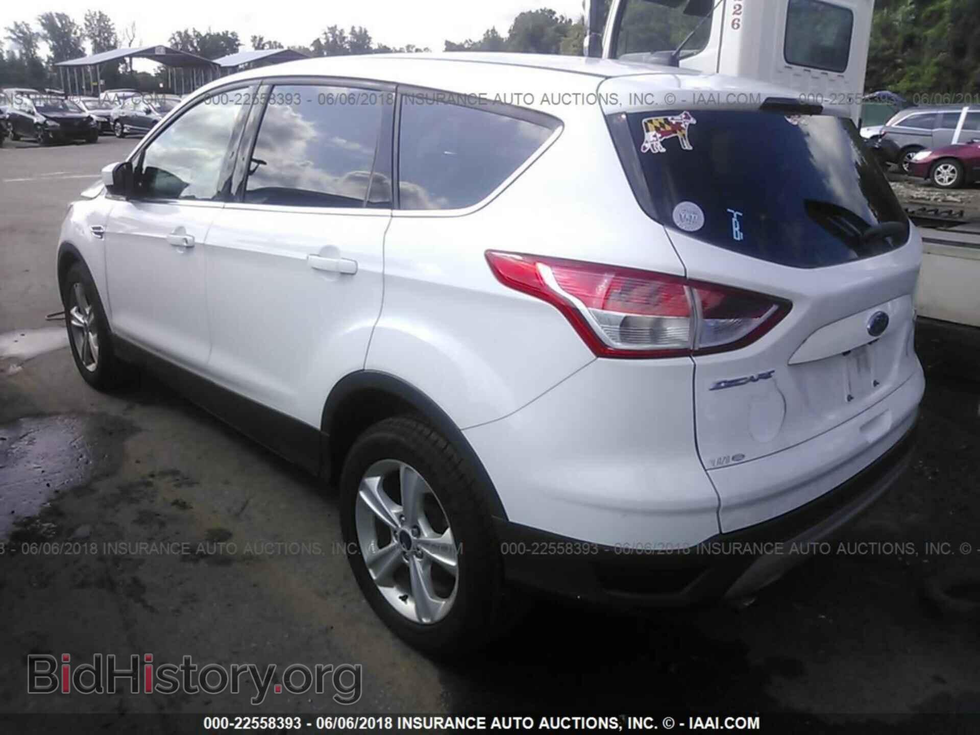 2014 Ford Escape - VIN: 1FMCU0GX4EUD22673 - Фото 3