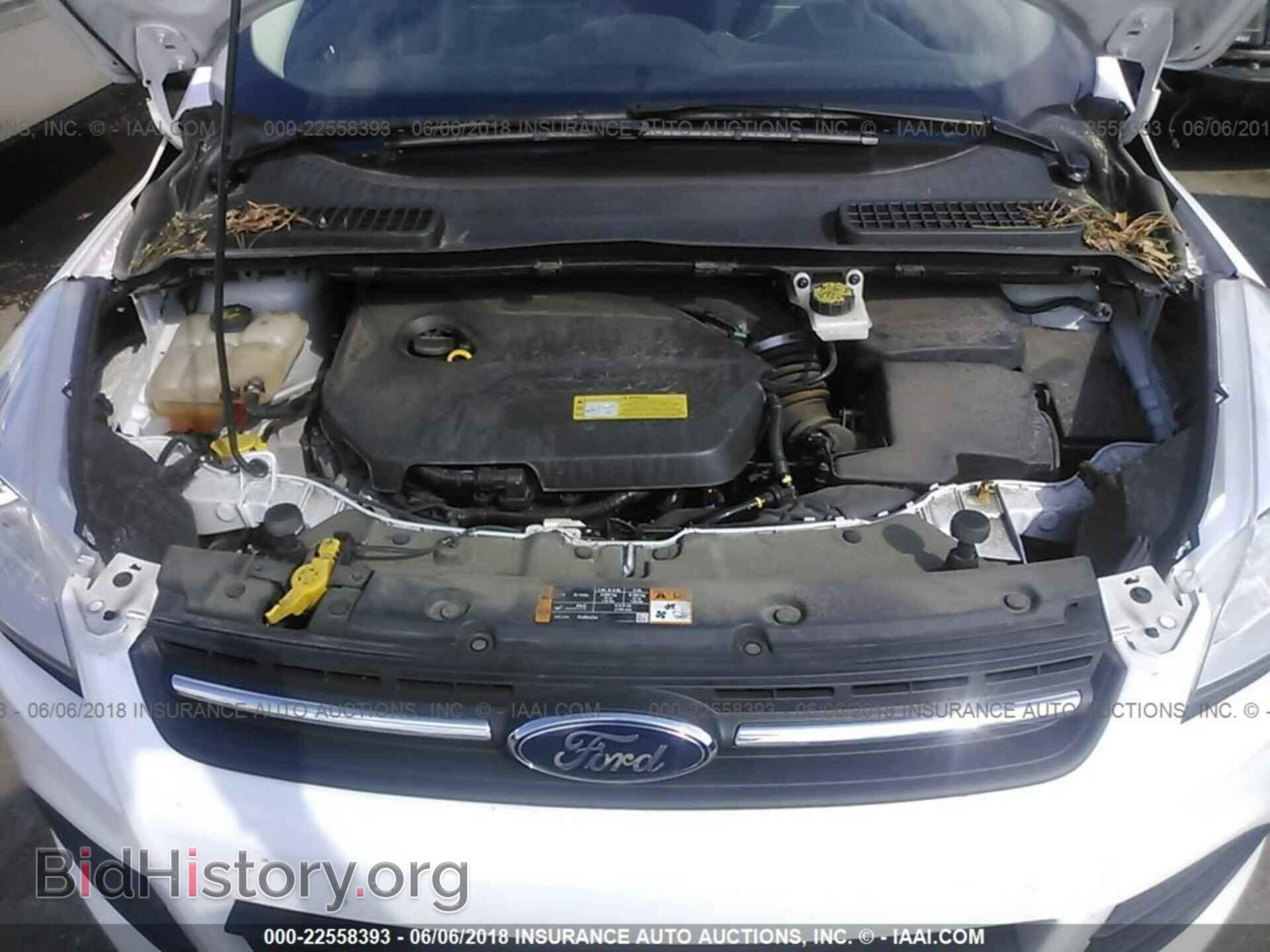 2014 Ford Escape - VIN: 1FMCU0GX4EUD22673 - Фото 10