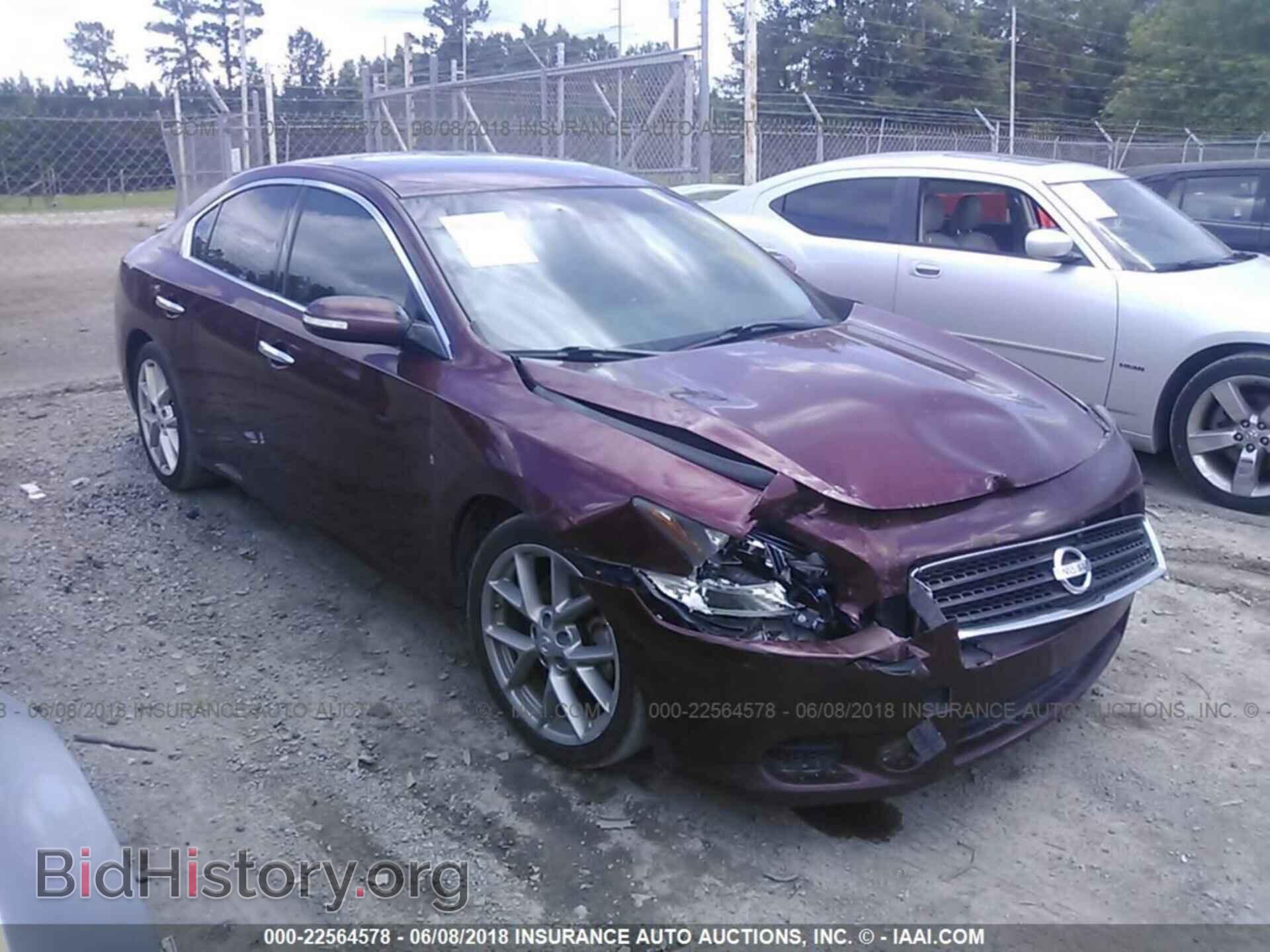 Фотография 1N4AA5AP7BC817466 - Nissan Maxima 2011