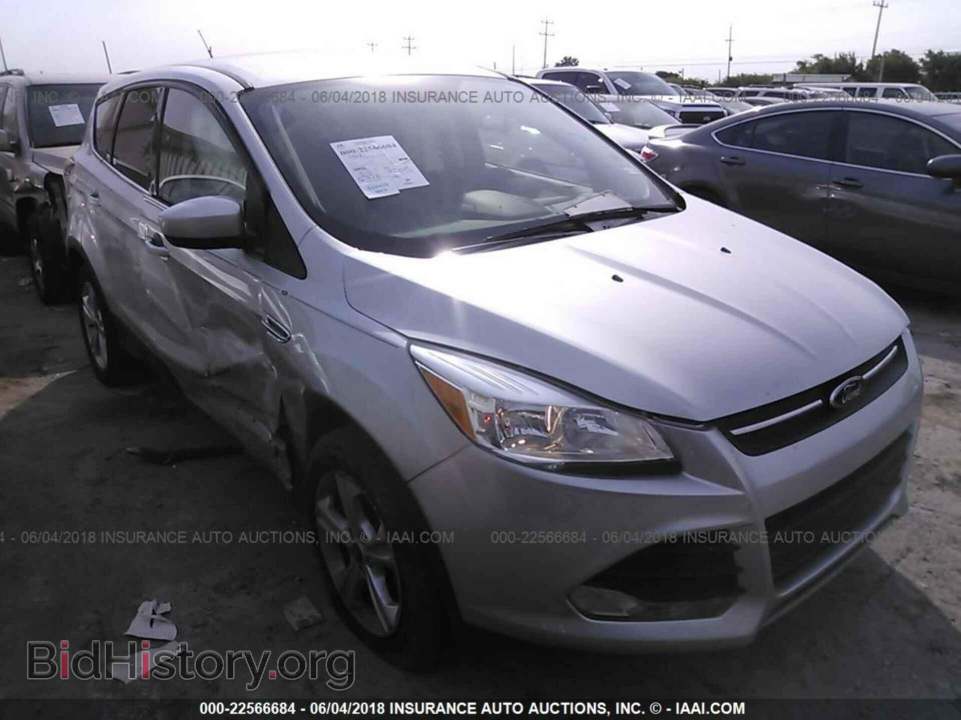 Photo 1FMCU0GX4EUC94003 - Ford Escape 2014