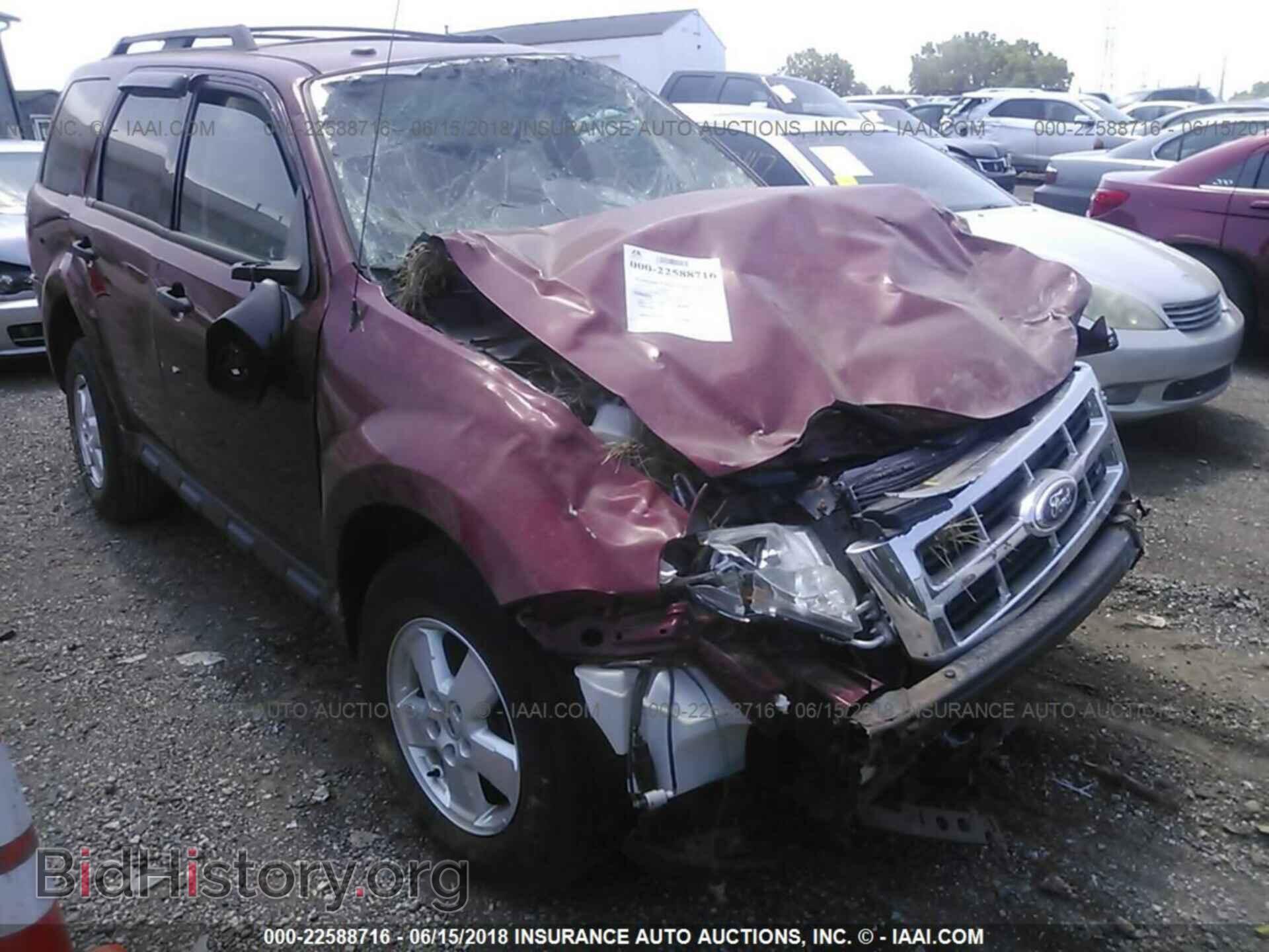 Photo 1FMCU0D77BKB33012 - Ford Escape 2011