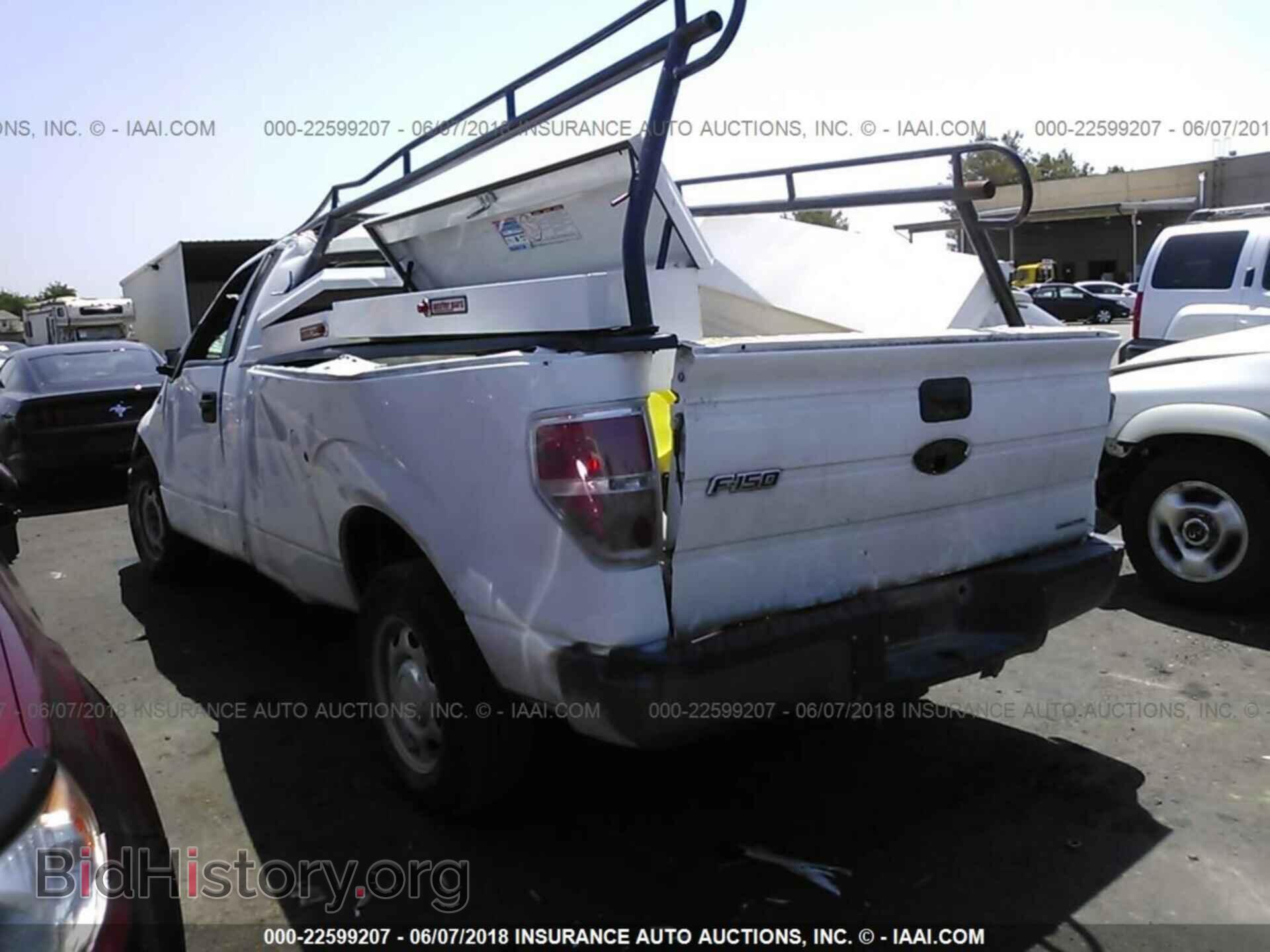 2013 Ford F150 - VIN: 1FTMF1CM2DKF97702 - Фото 3