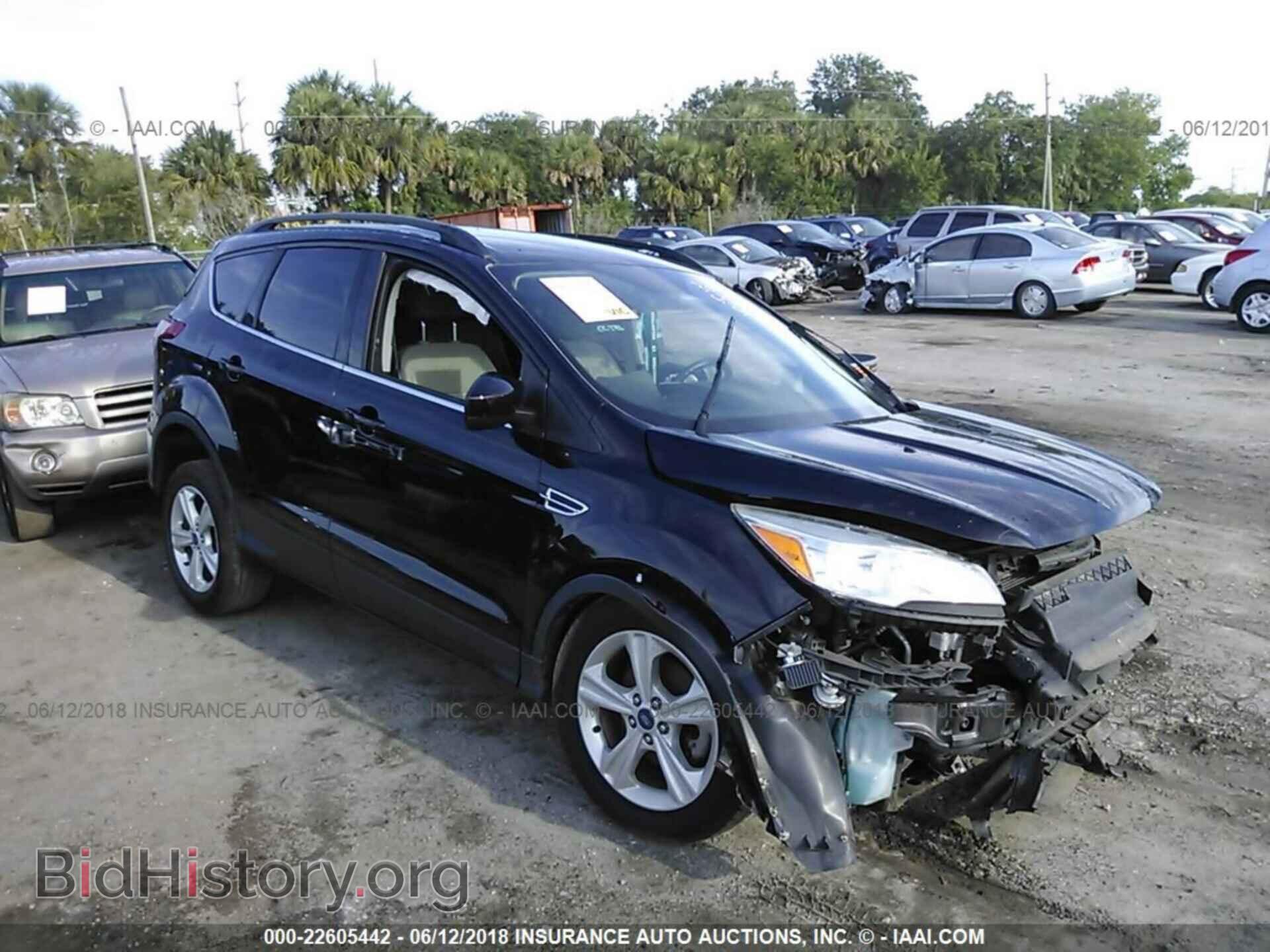 Photo 1FMCU0GX5DUC08454 - Ford Escape 2013