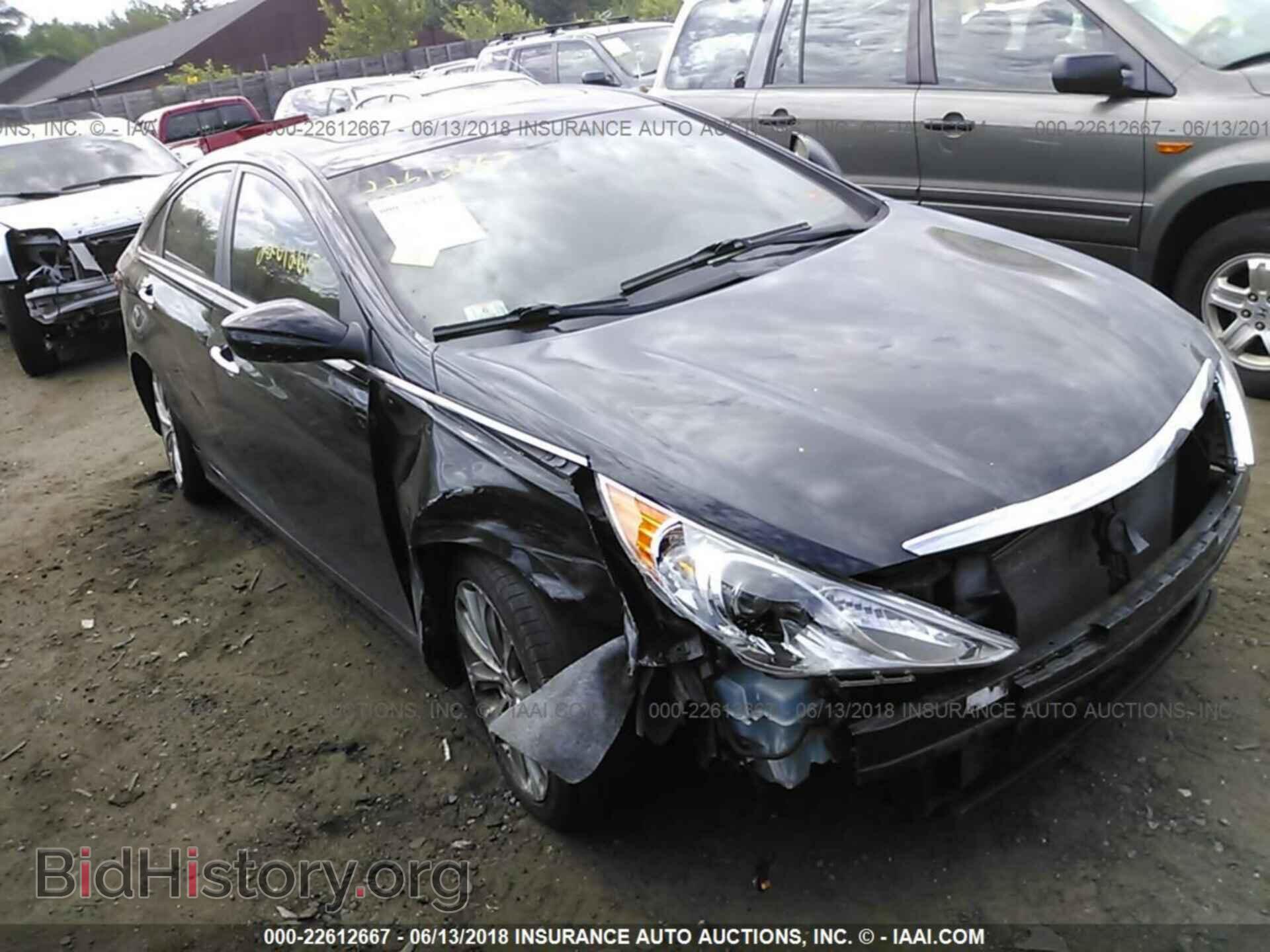 Photo 5NPEC4AC3CH343423 - Hyundai Sonata 2012