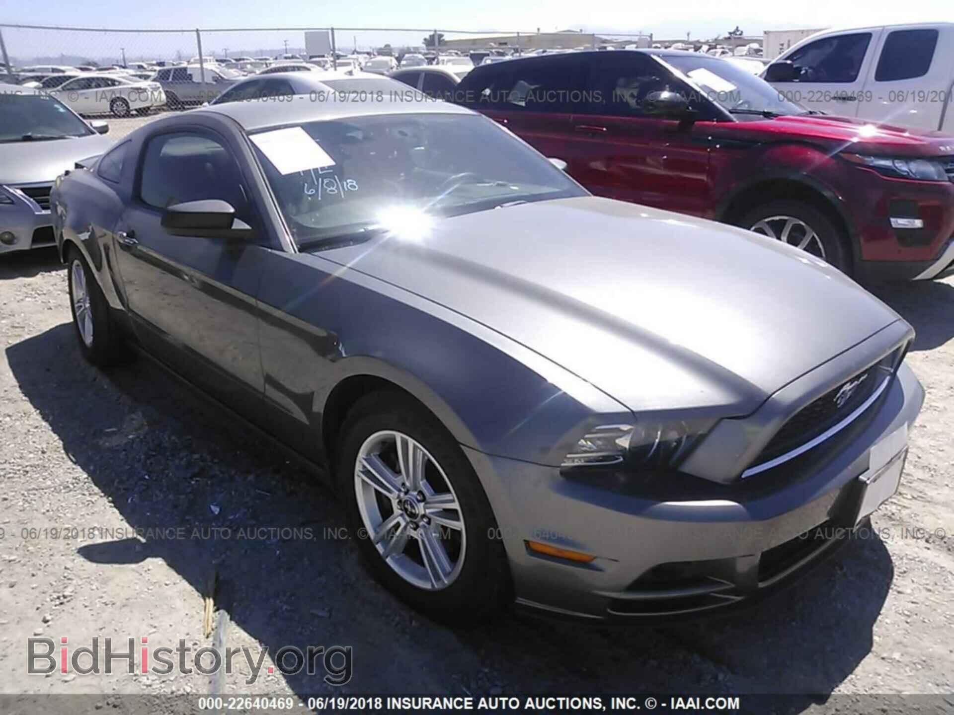 Фотография 1ZVBP8AM4D5224320 - Ford Mustang 2013